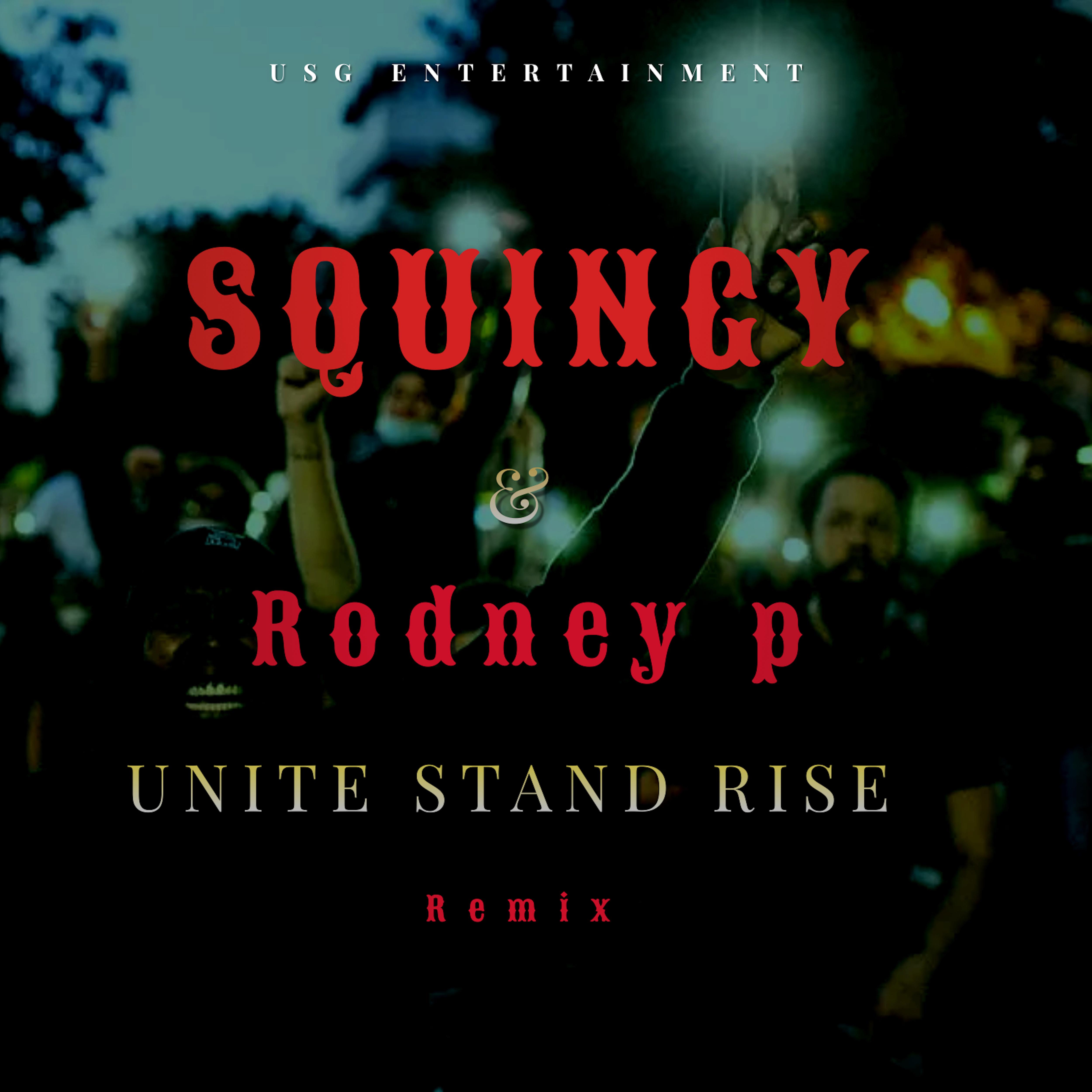 Постер альбома Unit Stand Rise Remix