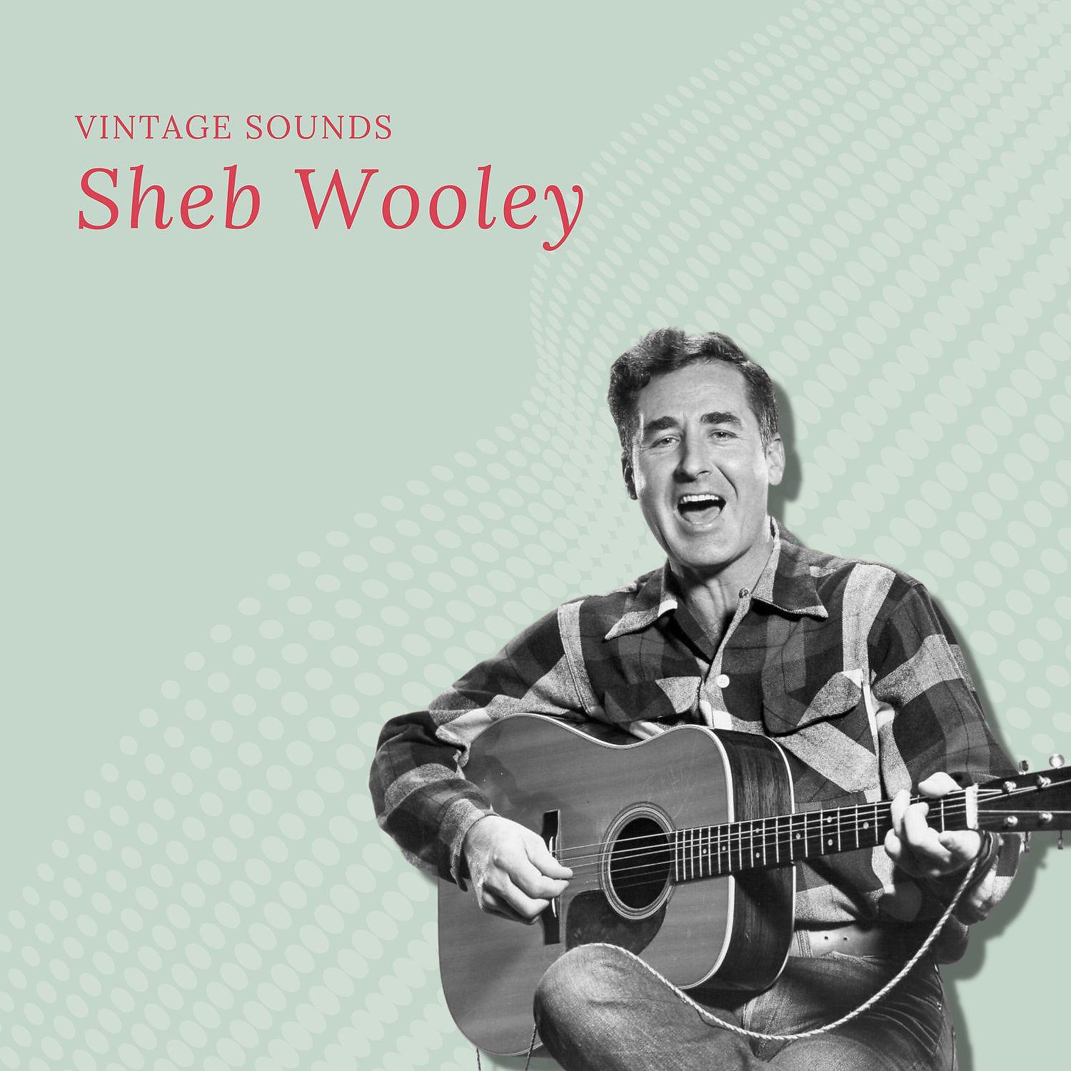 Постер альбома Sheb Wooley - Vintage Sounds
