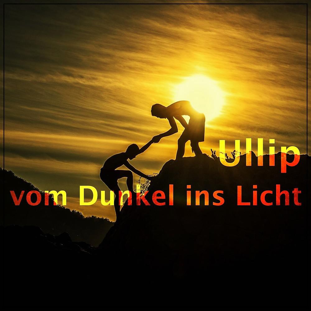 Постер альбома Vom Dunkel ins Licht