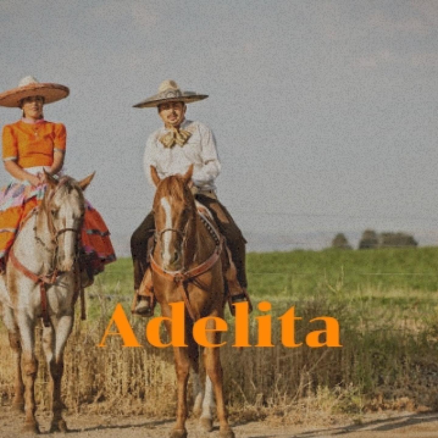 Постер альбома Adelita