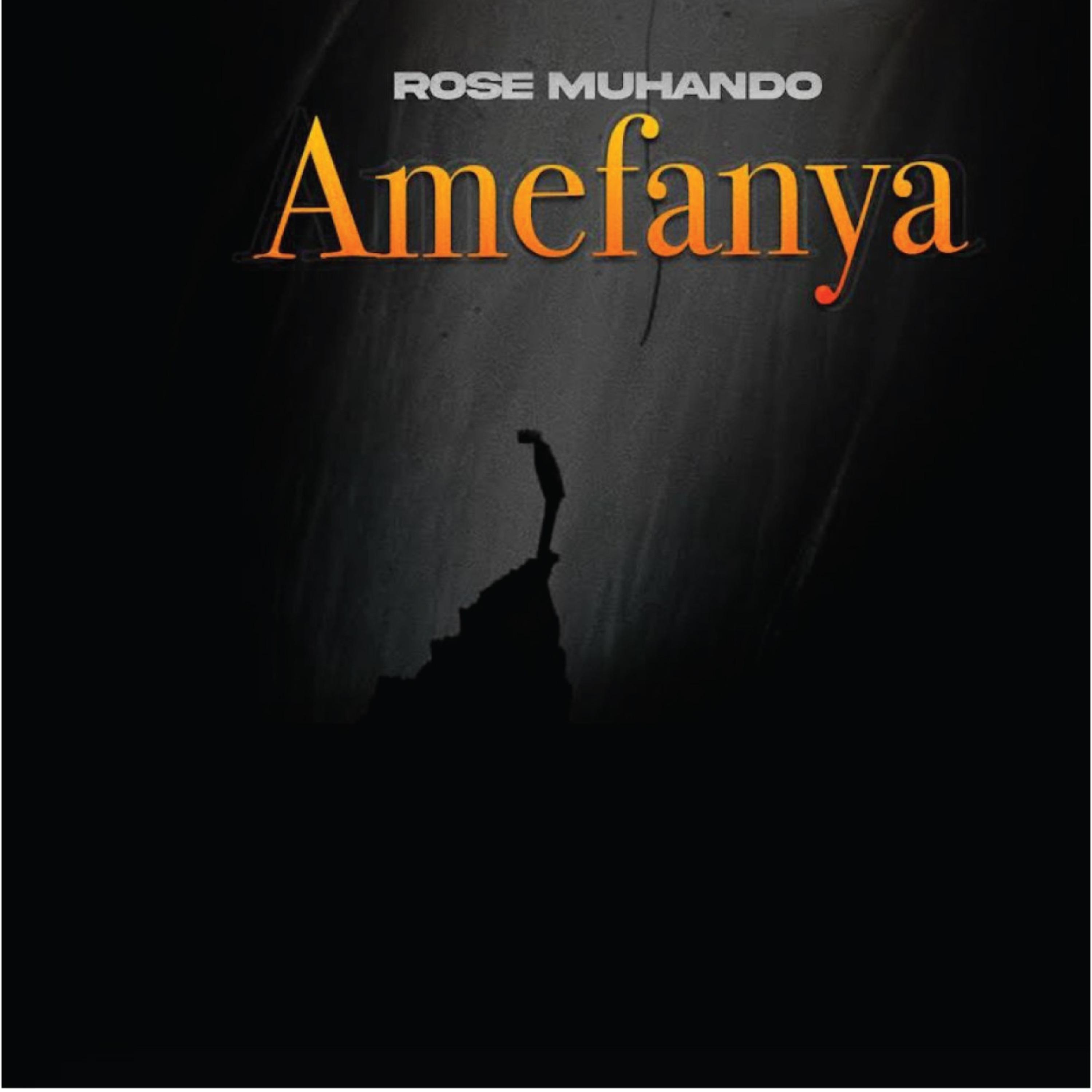 Постер альбома Amefanya