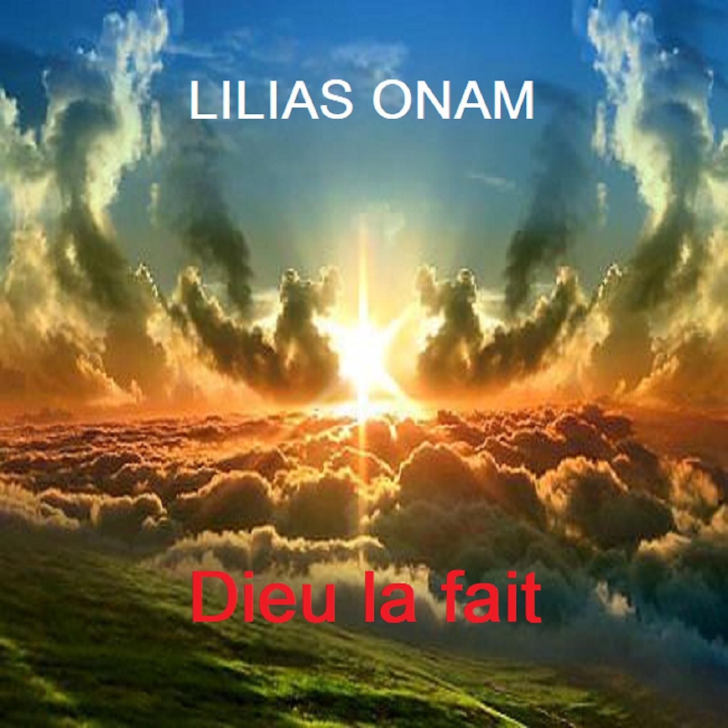 Постер альбома Dieu la fait