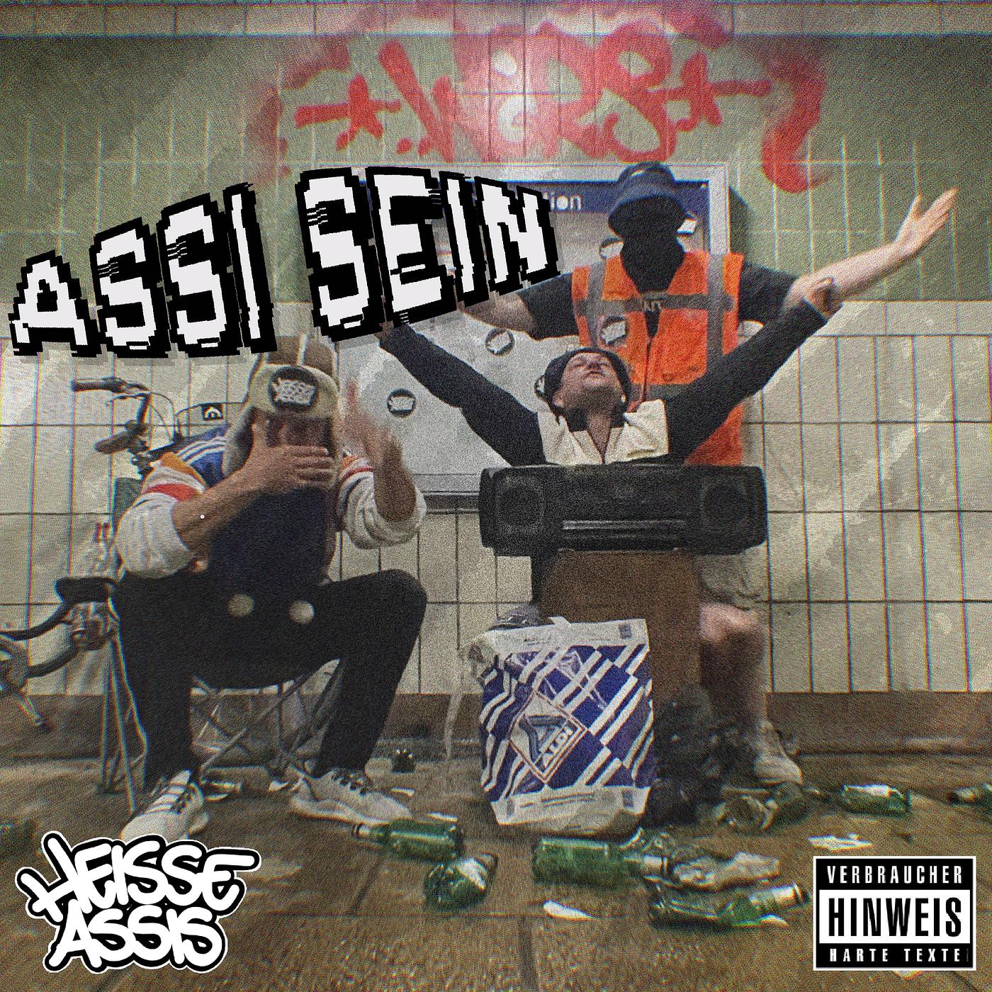 Постер альбома Assi Sein