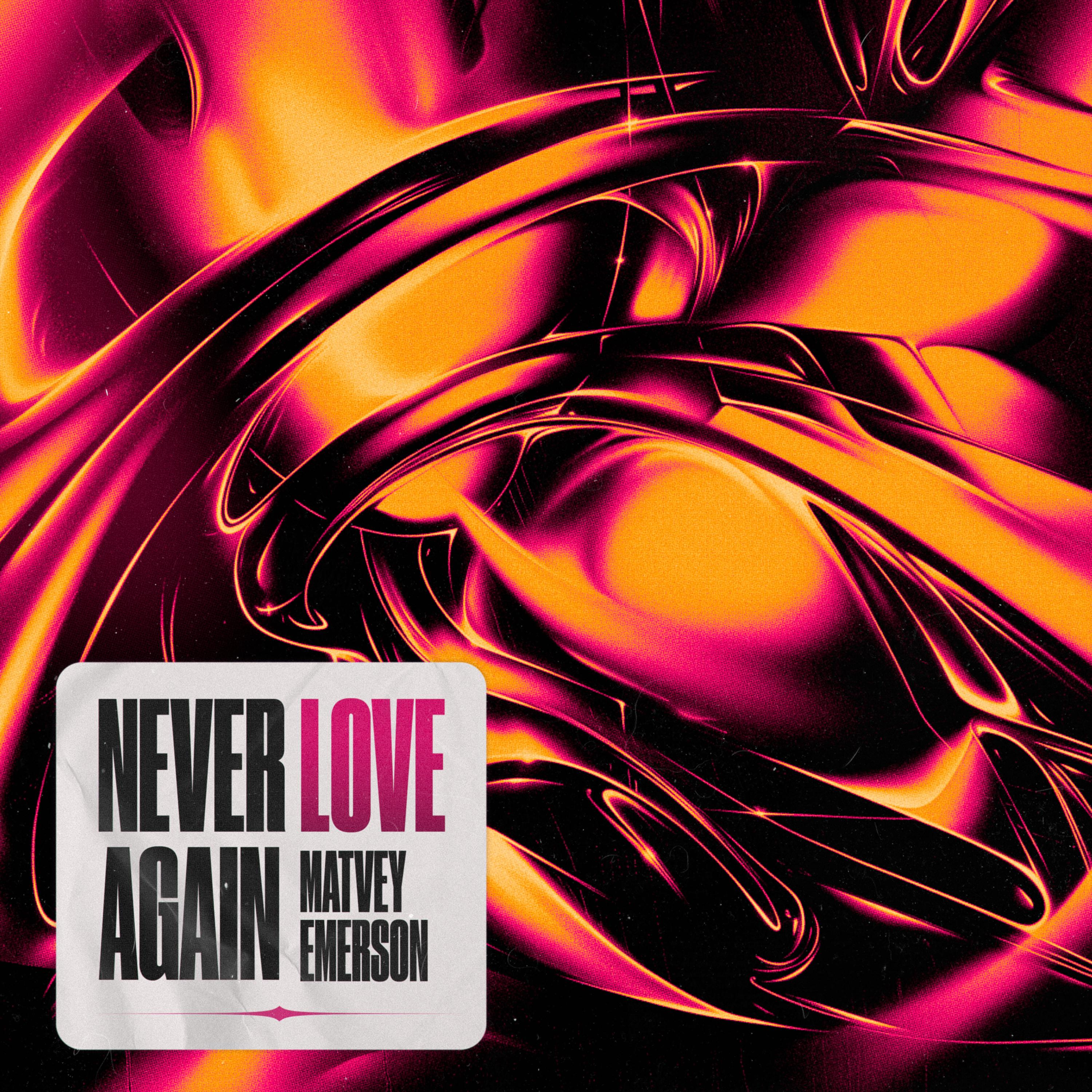 Постер альбома NEVER LOVE AGAIN