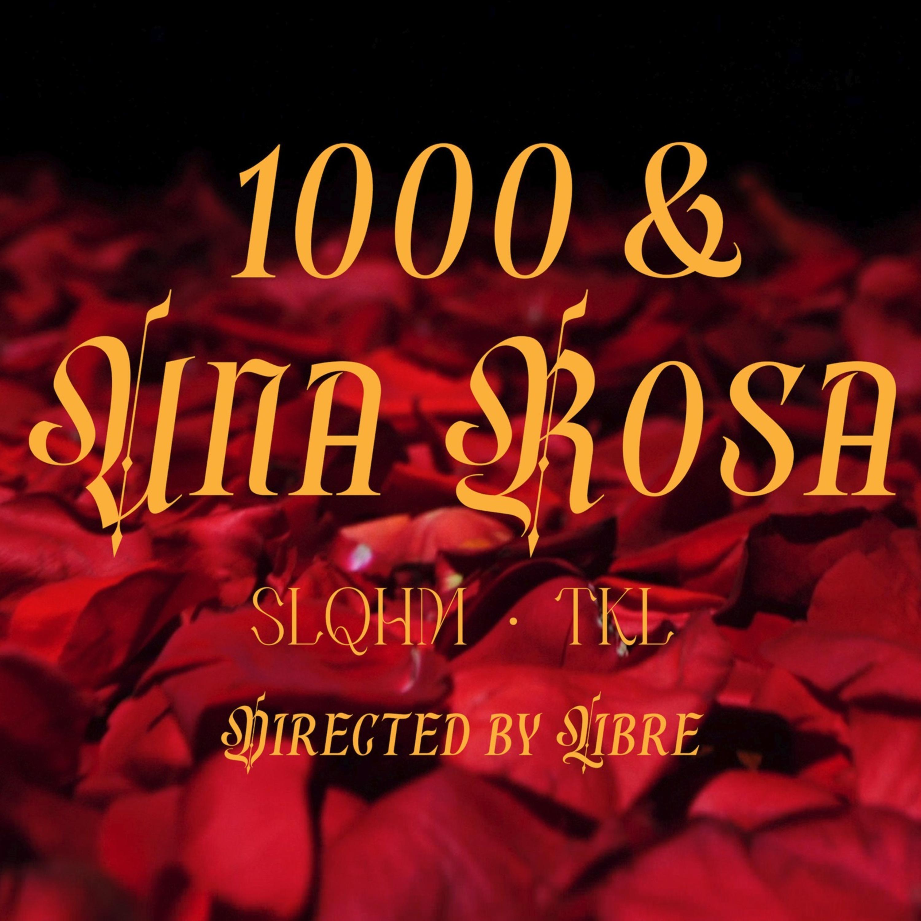 Постер альбома 1000 & una Rosa