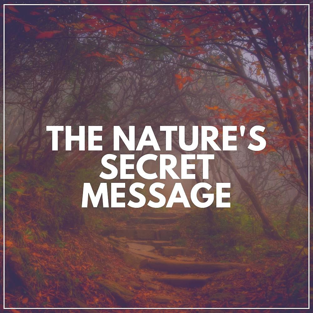 Постер альбома The Nature's Secret Message