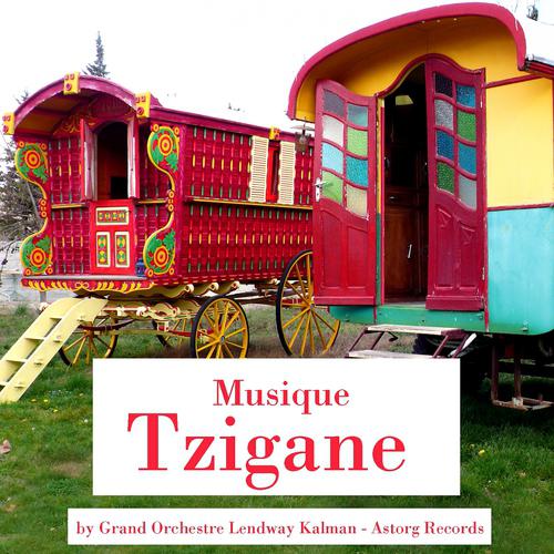 Постер альбома Musique tzigane