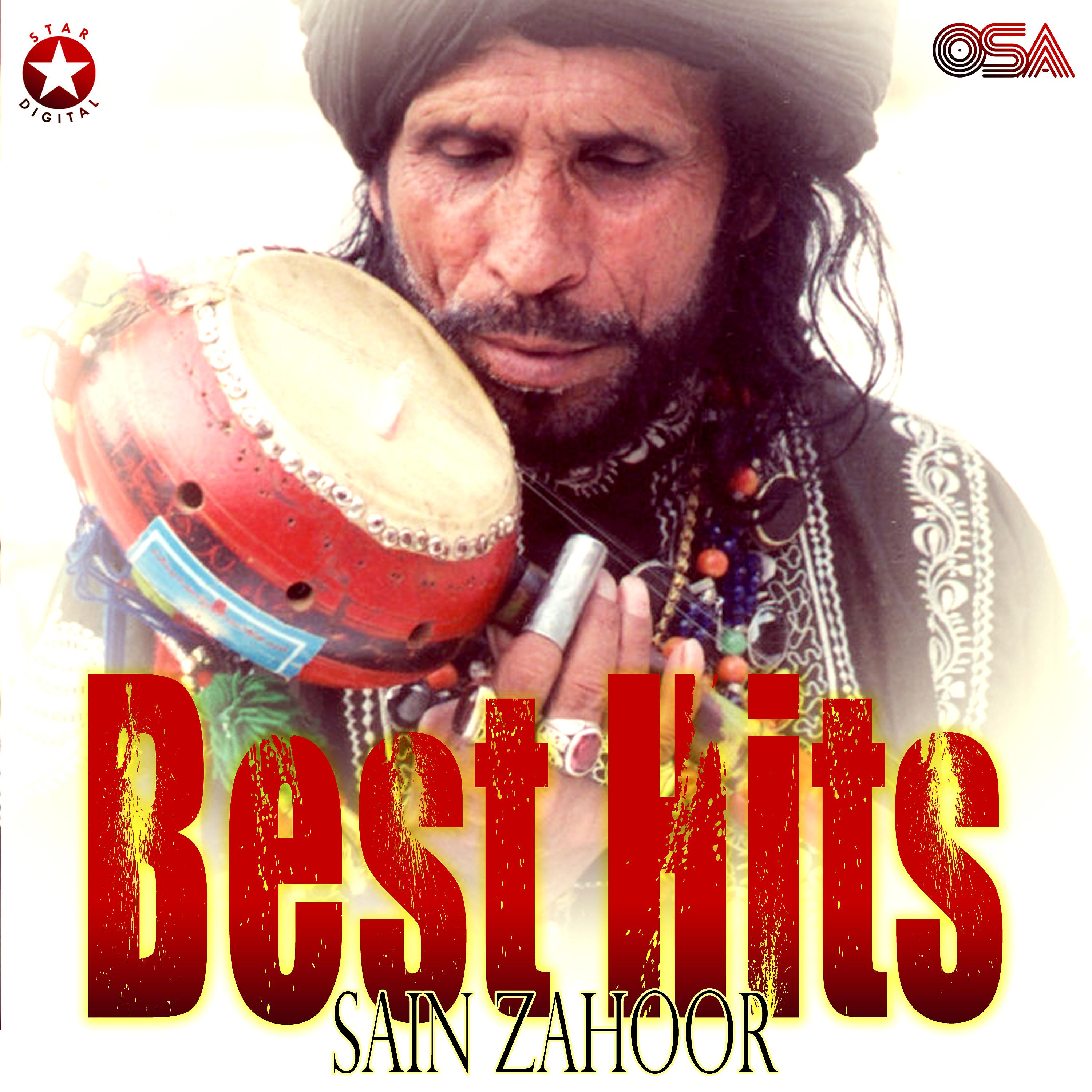 Постер альбома Sain Zahoor Best Hits