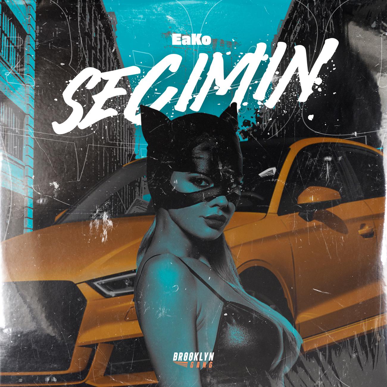 Постер альбома Secimin