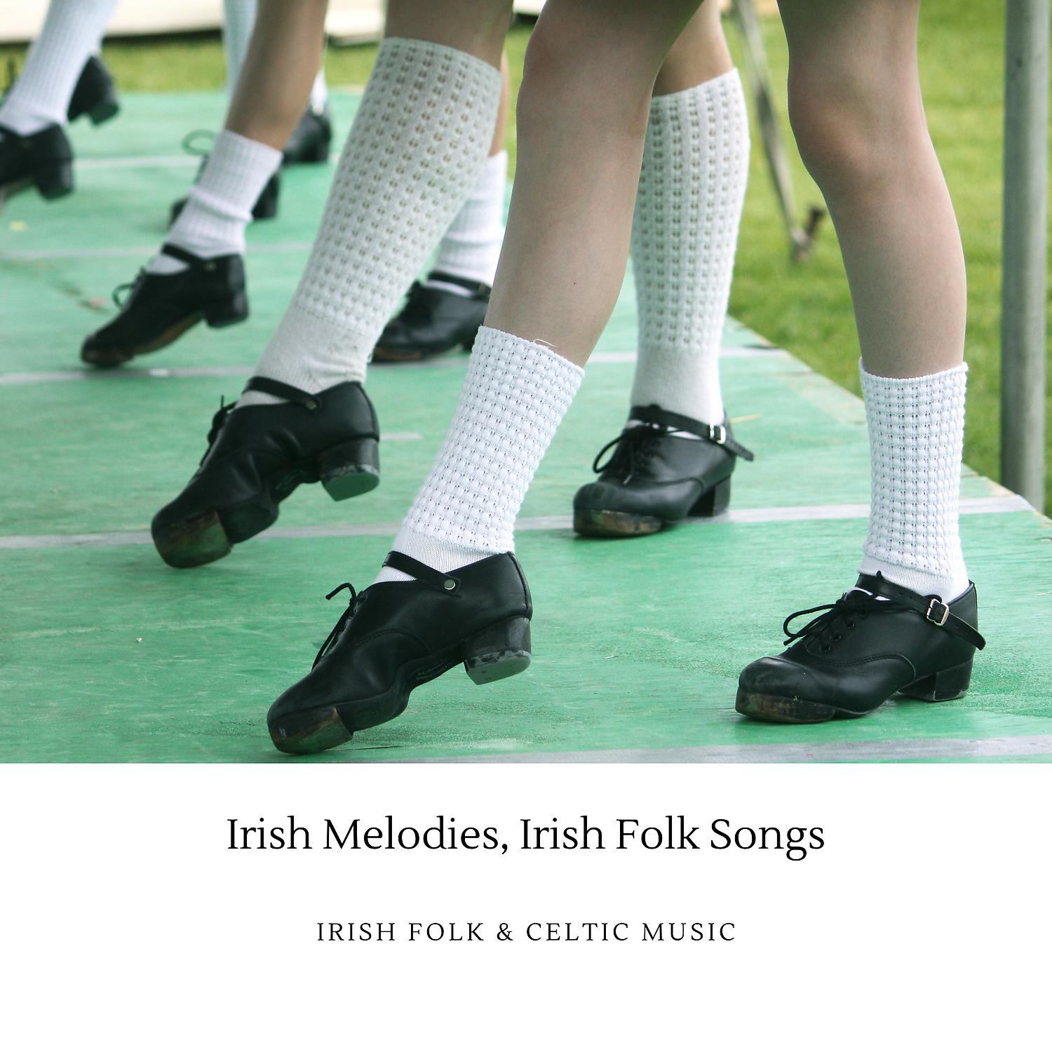 Постер альбома Irish Melodies, Irish Folk Songs