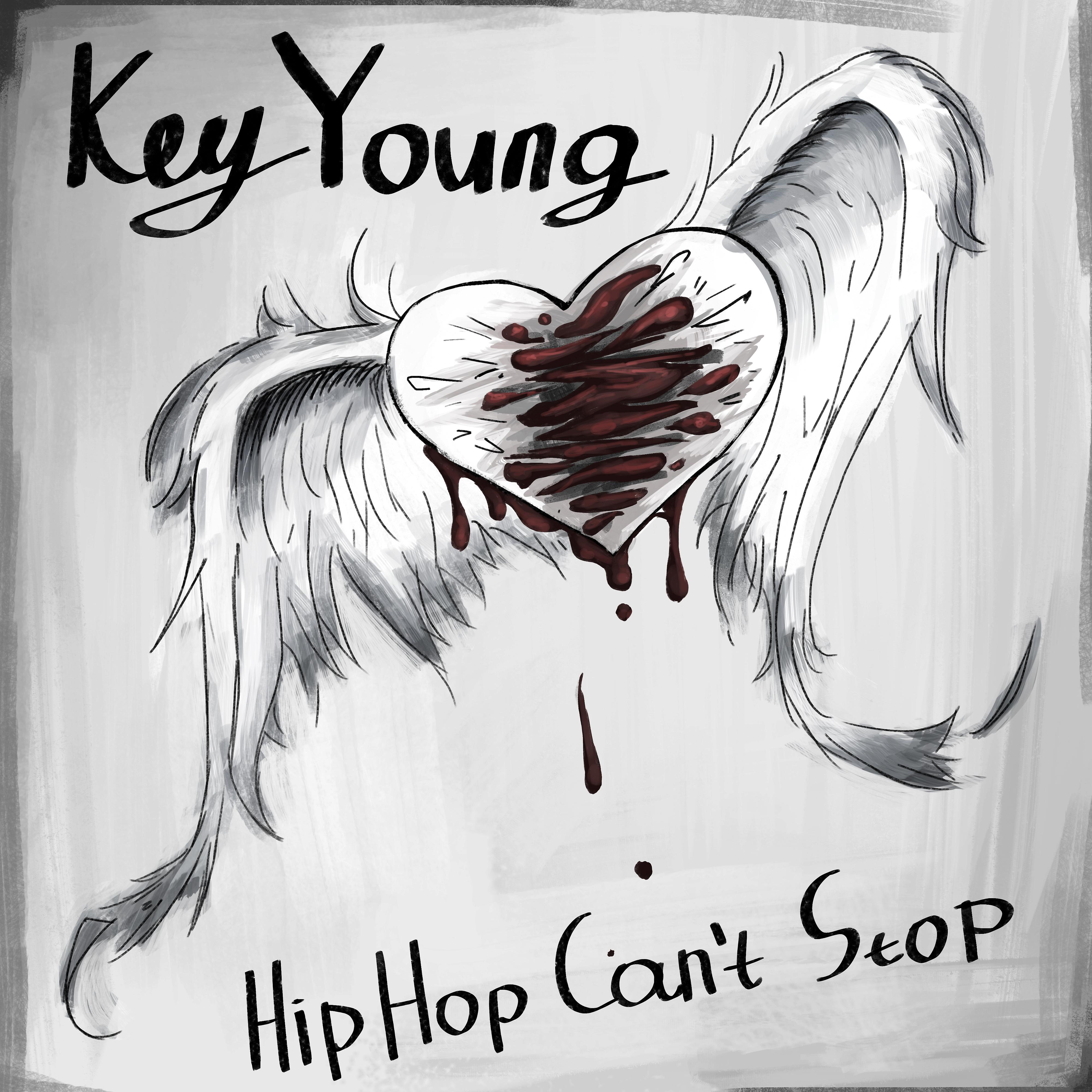 Постер альбома Hip Hop Can't Stop