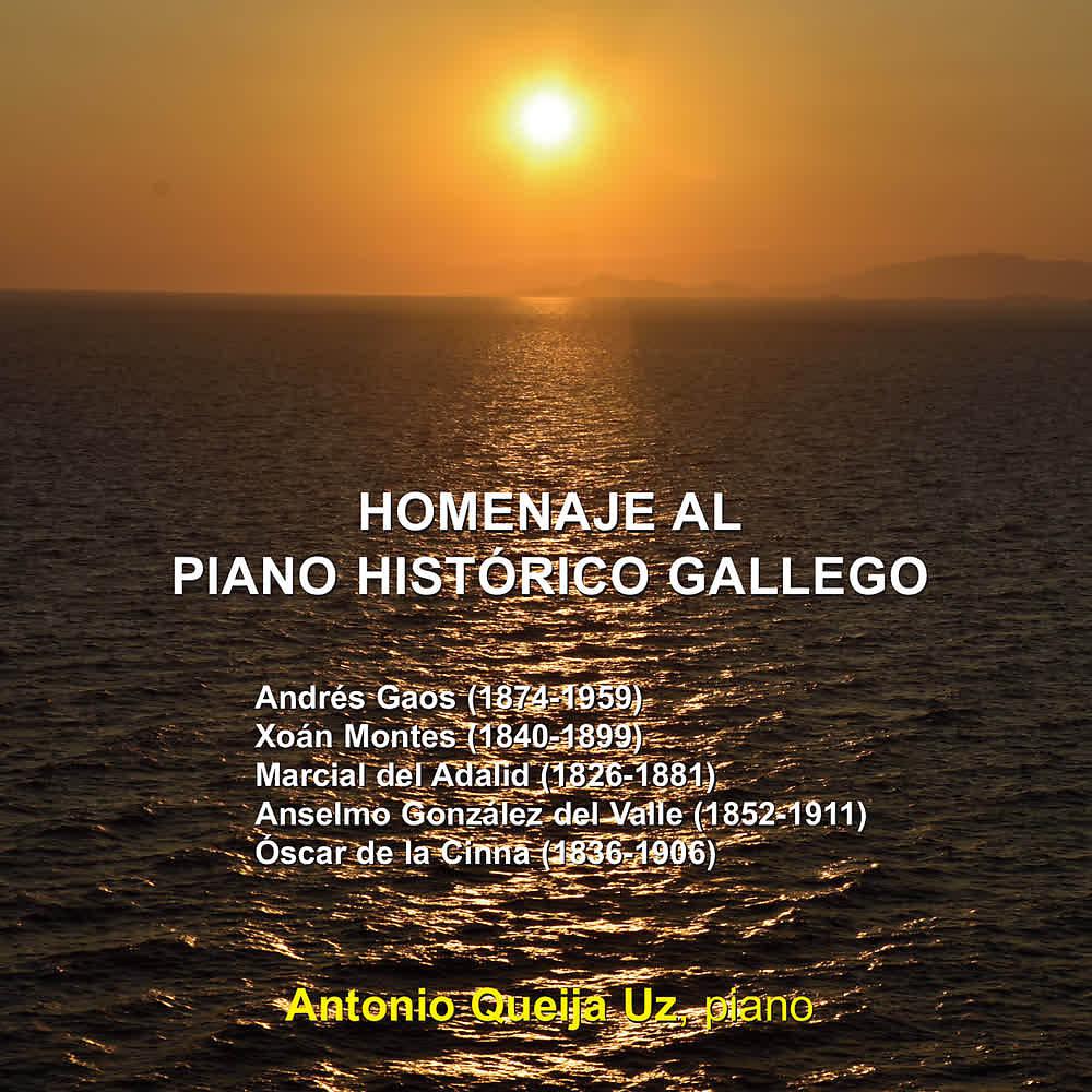 Постер альбома Homenaje al Piano Histórico Gallego