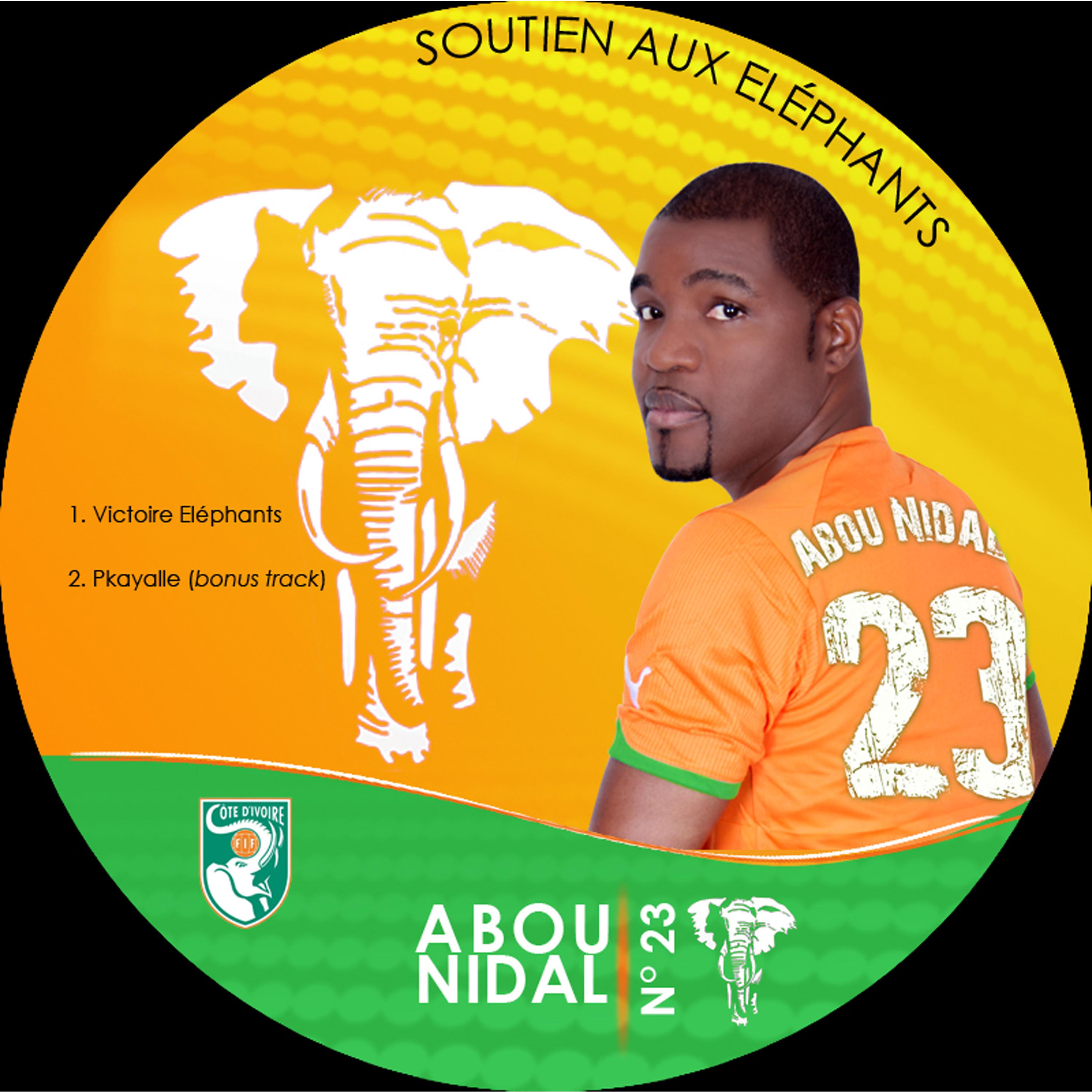 Постер альбома Soutien aux éléphants - Single
