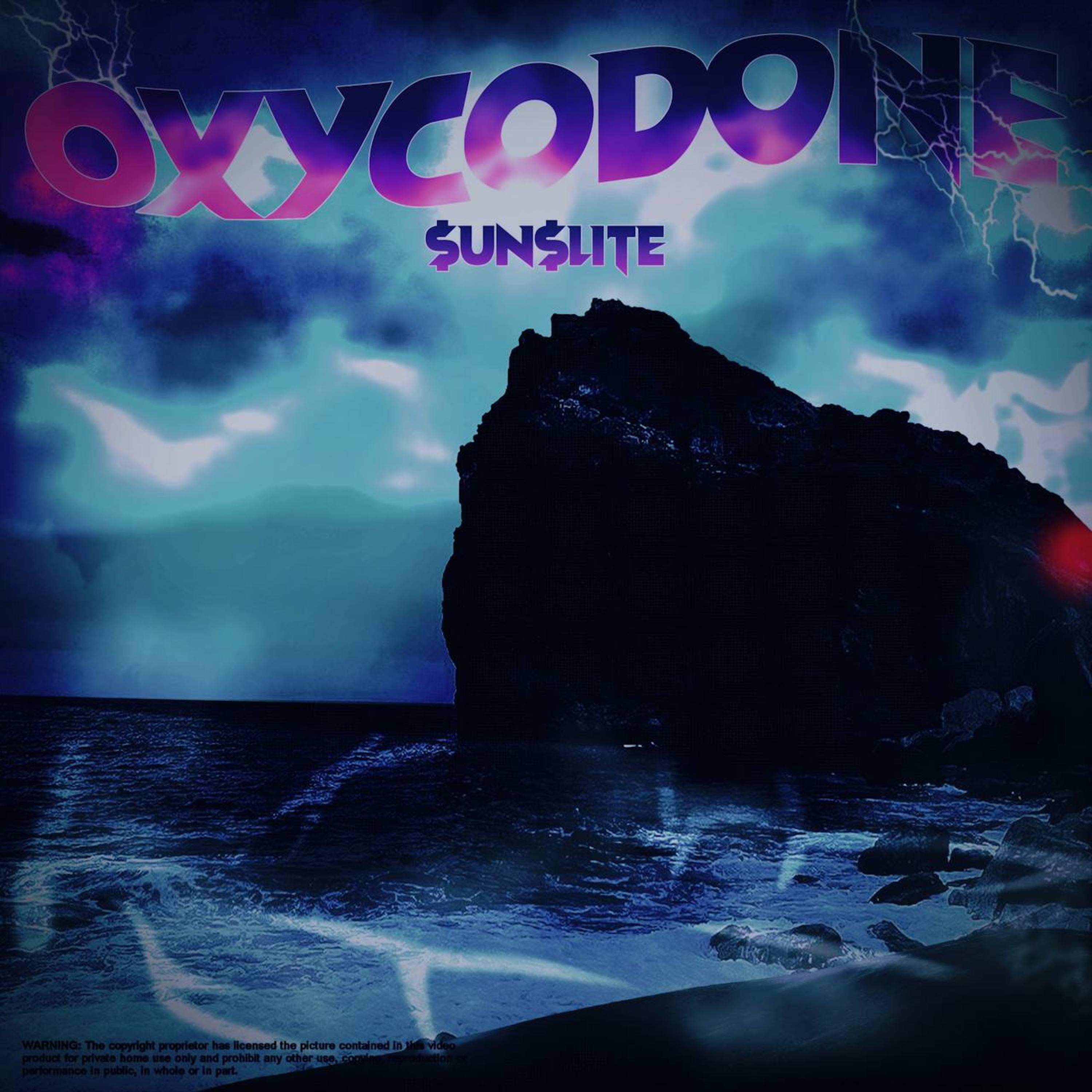 Постер альбома Oxycodone