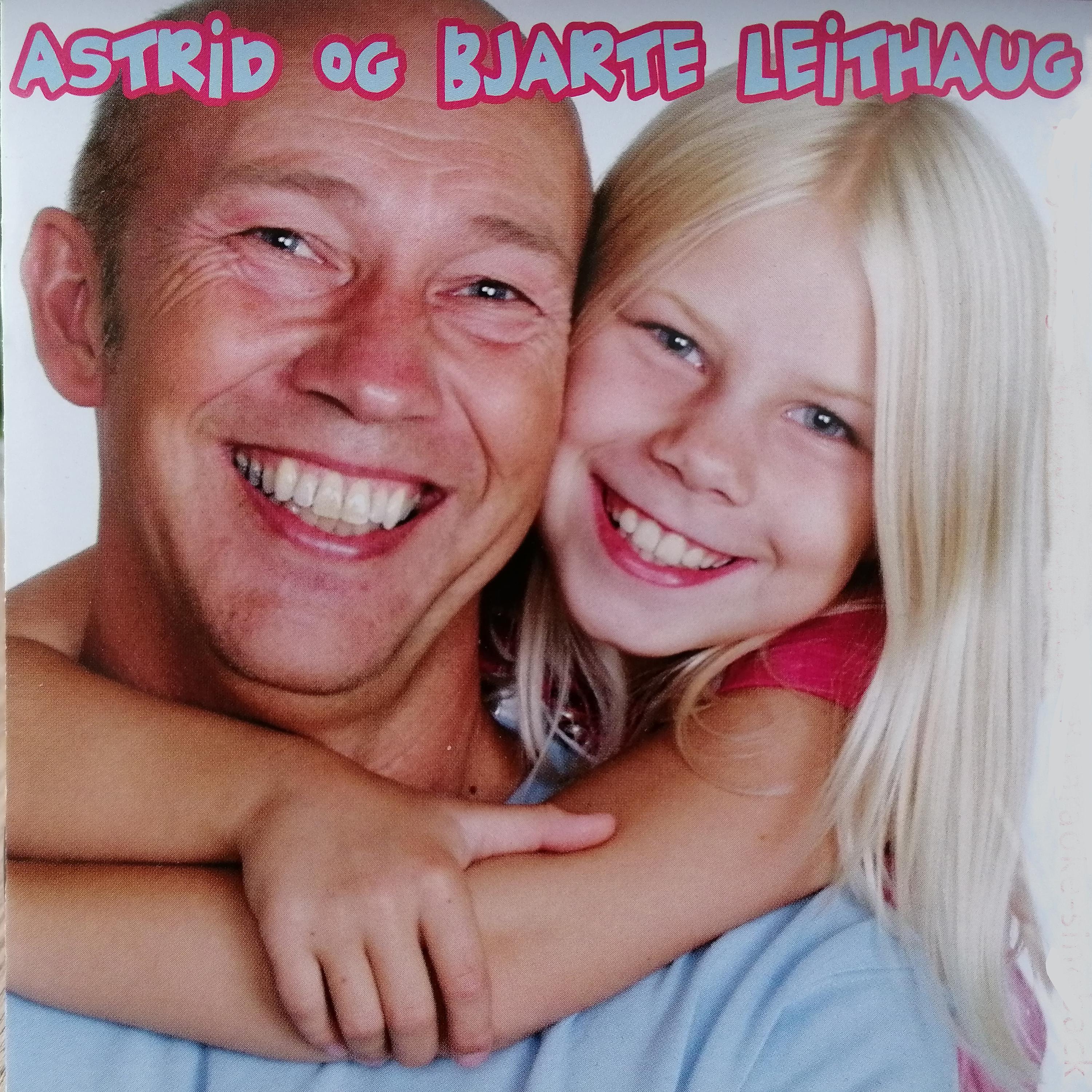 Постер альбома Dingle Med Beina