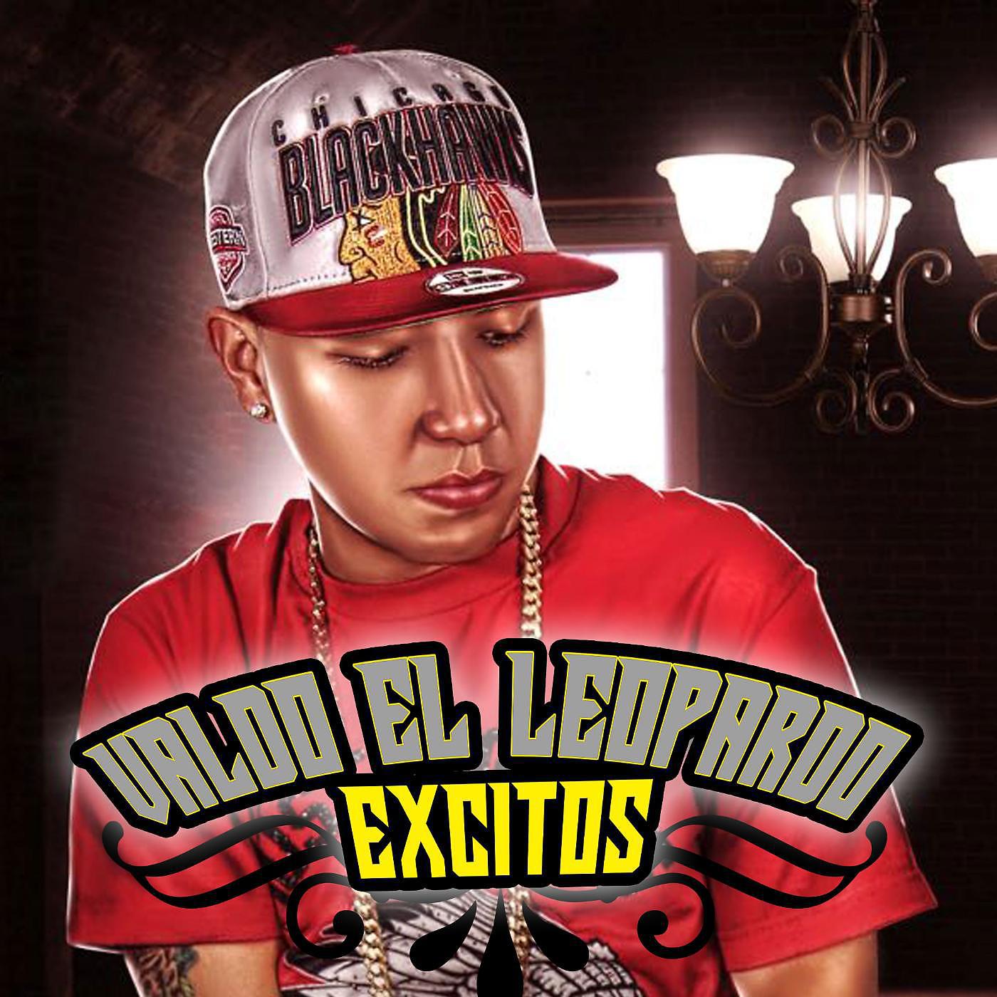 Постер альбома Valdo el Leopardo Excitos