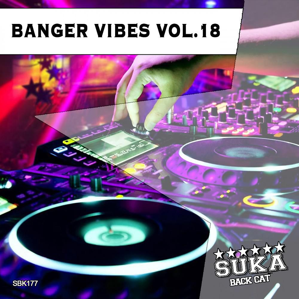 Постер альбома Banger Vibes, Vol. 18