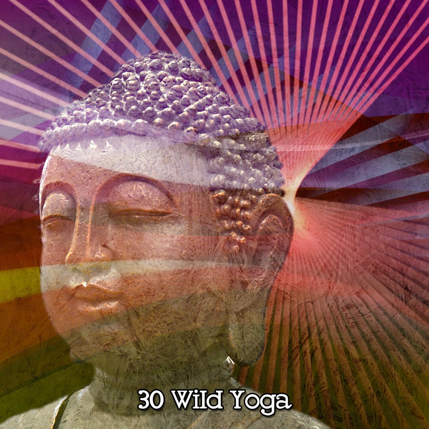 Постер альбома 30 Wild Yoga