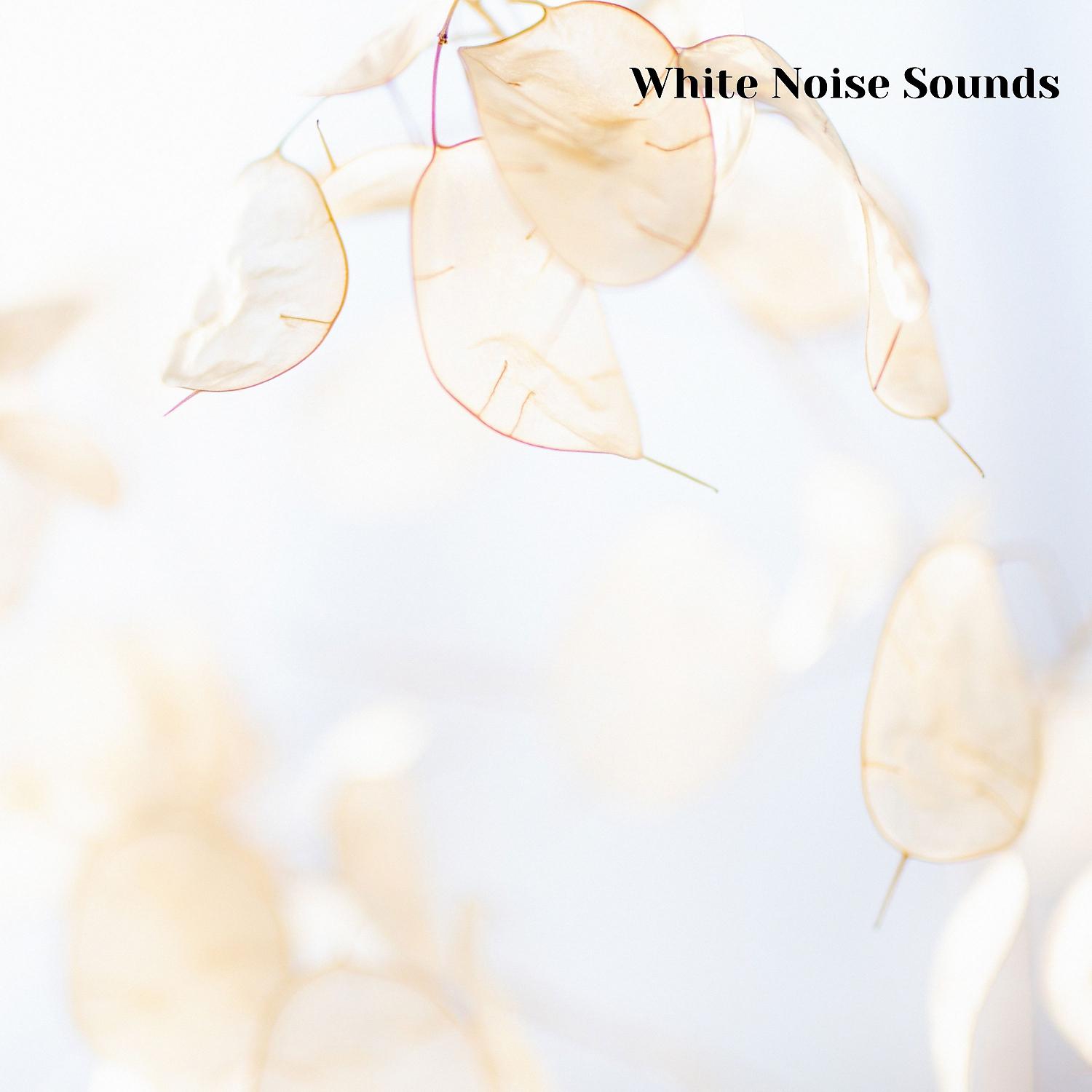 Постер альбома White Noise for Sleeping and Meditation, Session 9