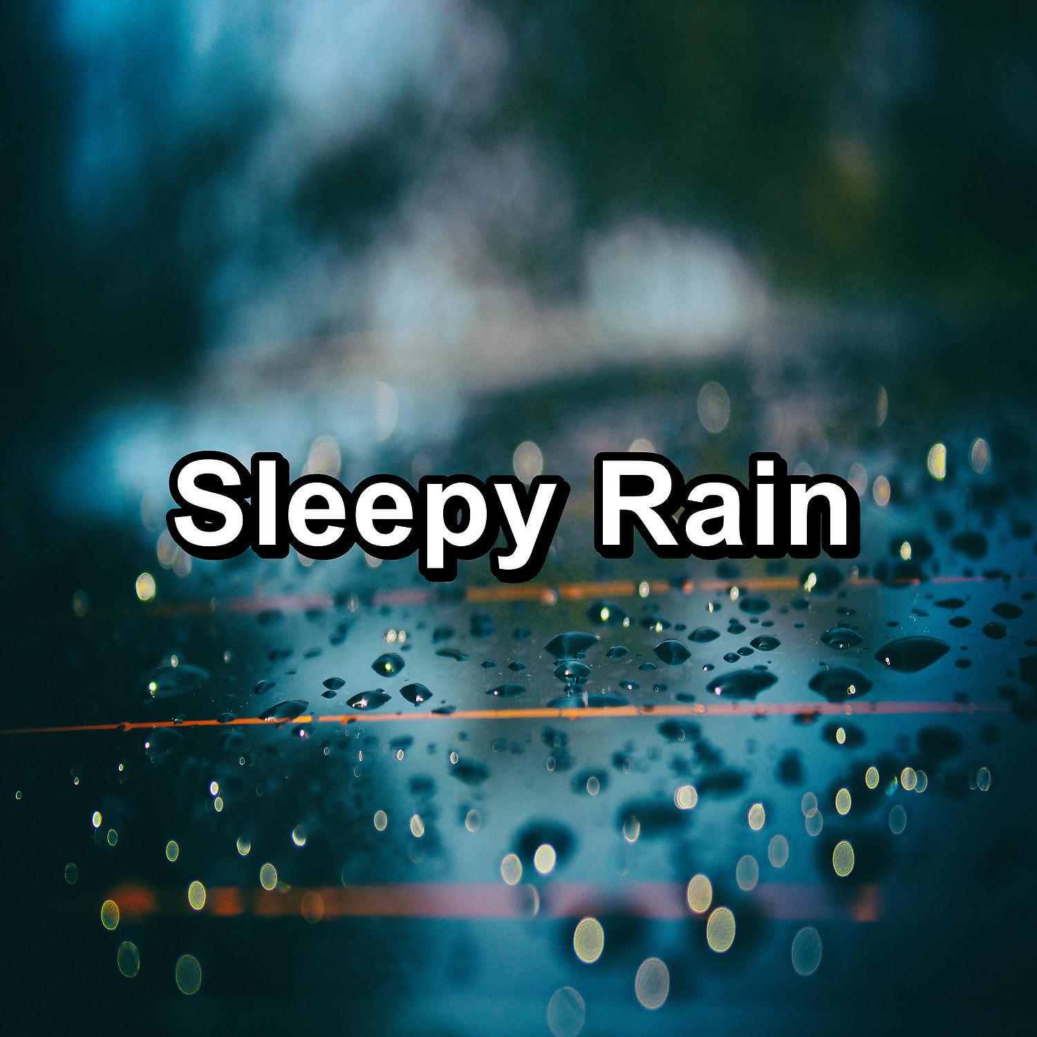Постер альбома Sleepy Rain