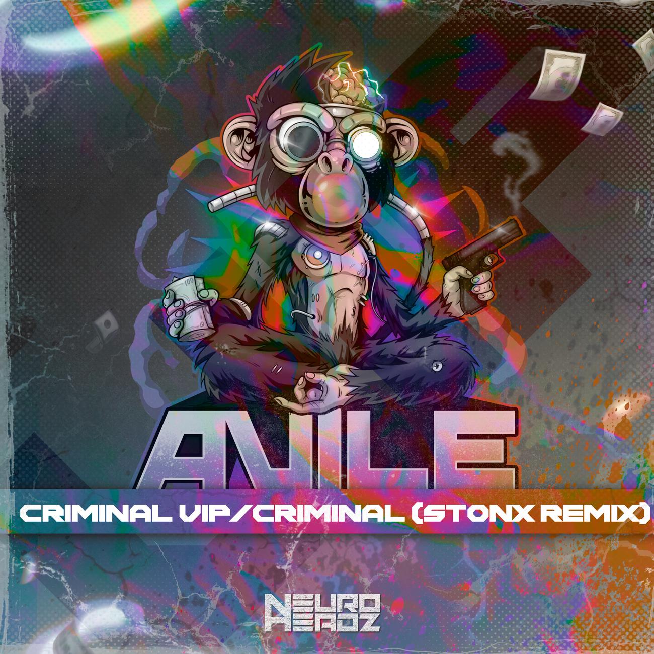 Постер альбома Criminal VIP / Criminal (Stonx remix)