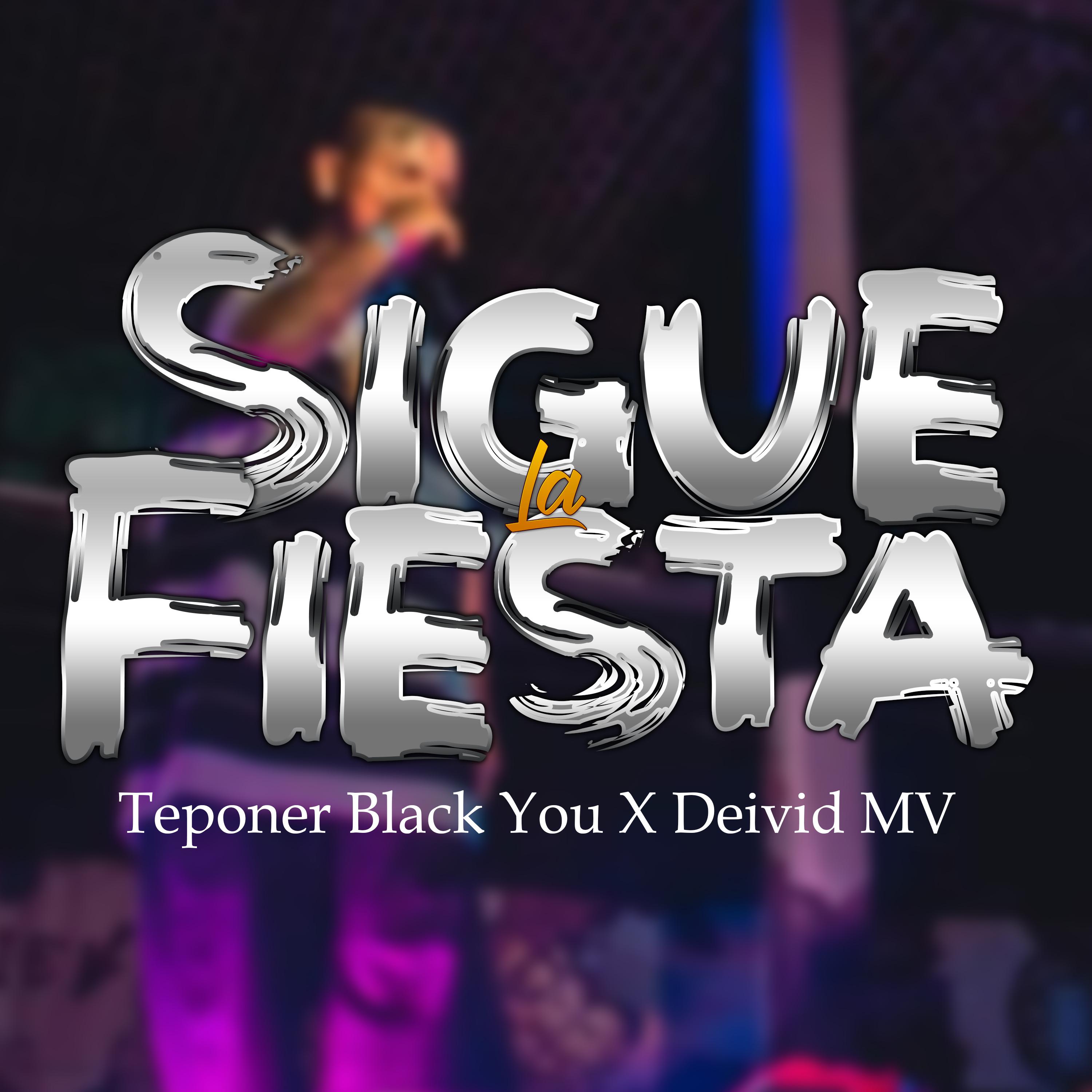 Постер альбома Sigue la Fiesta