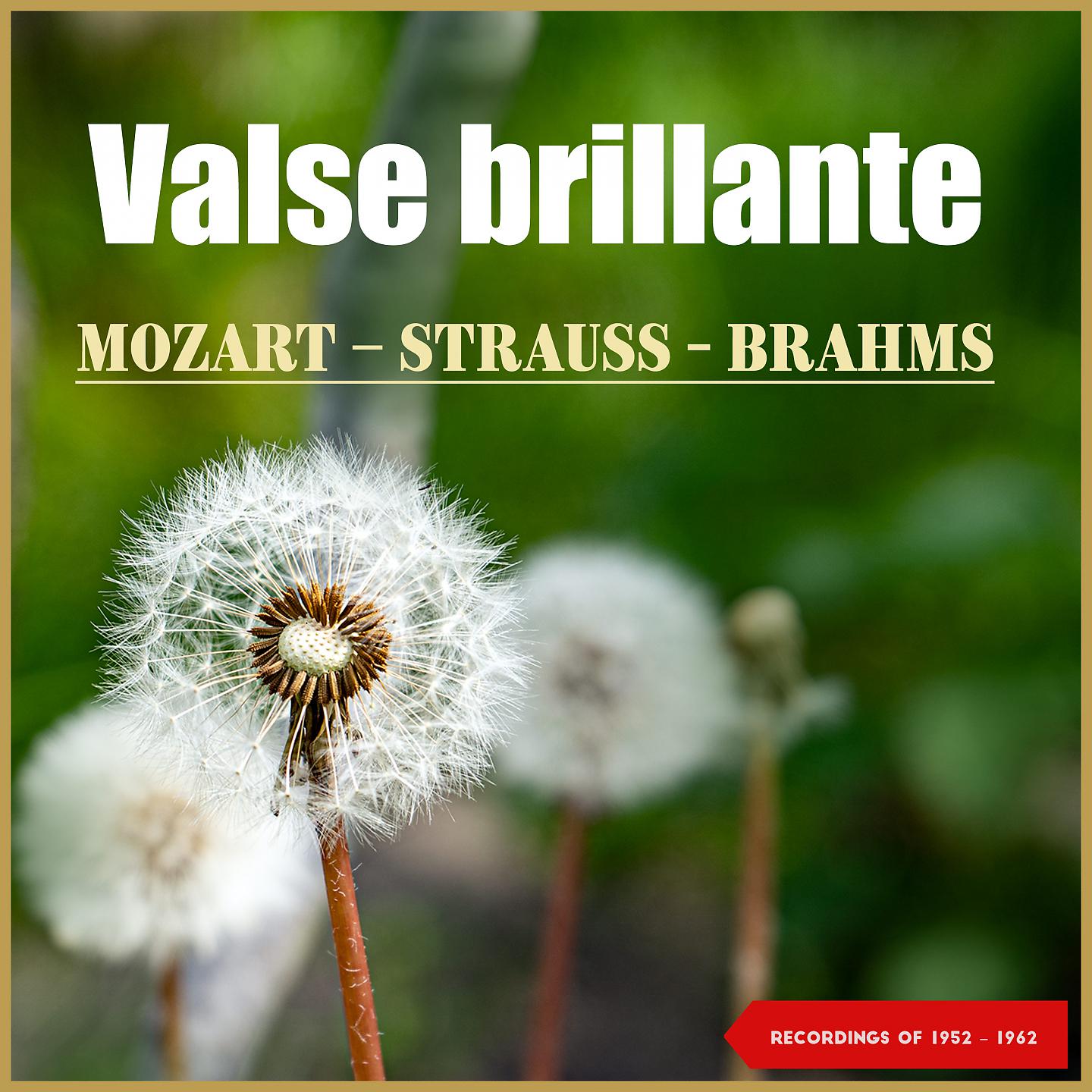 Постер альбома Valse brillante