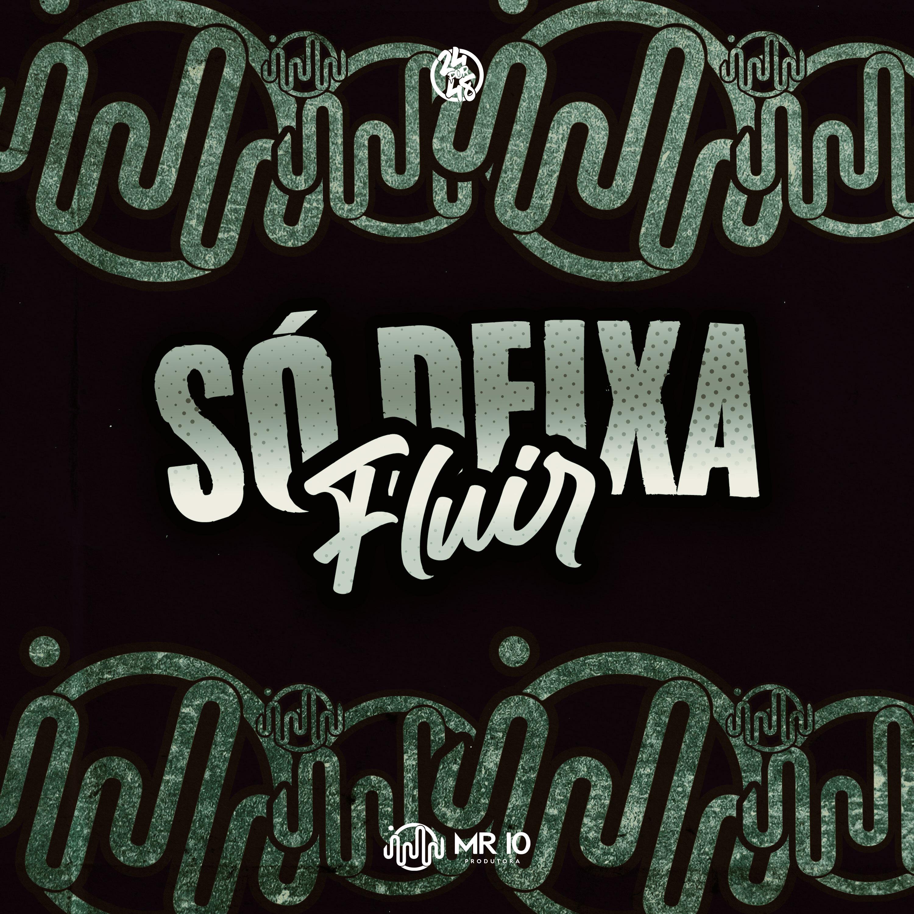 Постер альбома Só Deixa Fluir