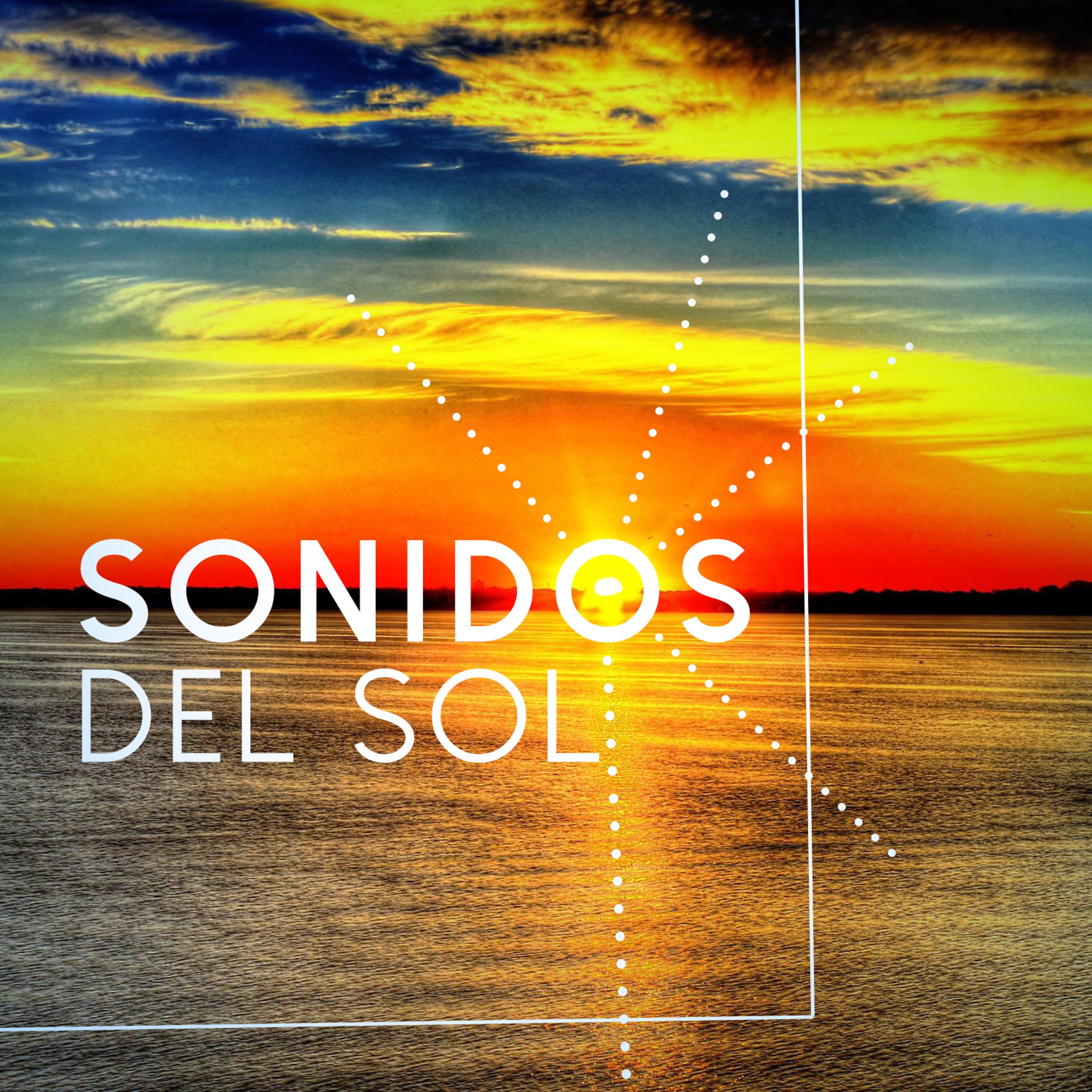 Постер альбома Sonidos Del Sol