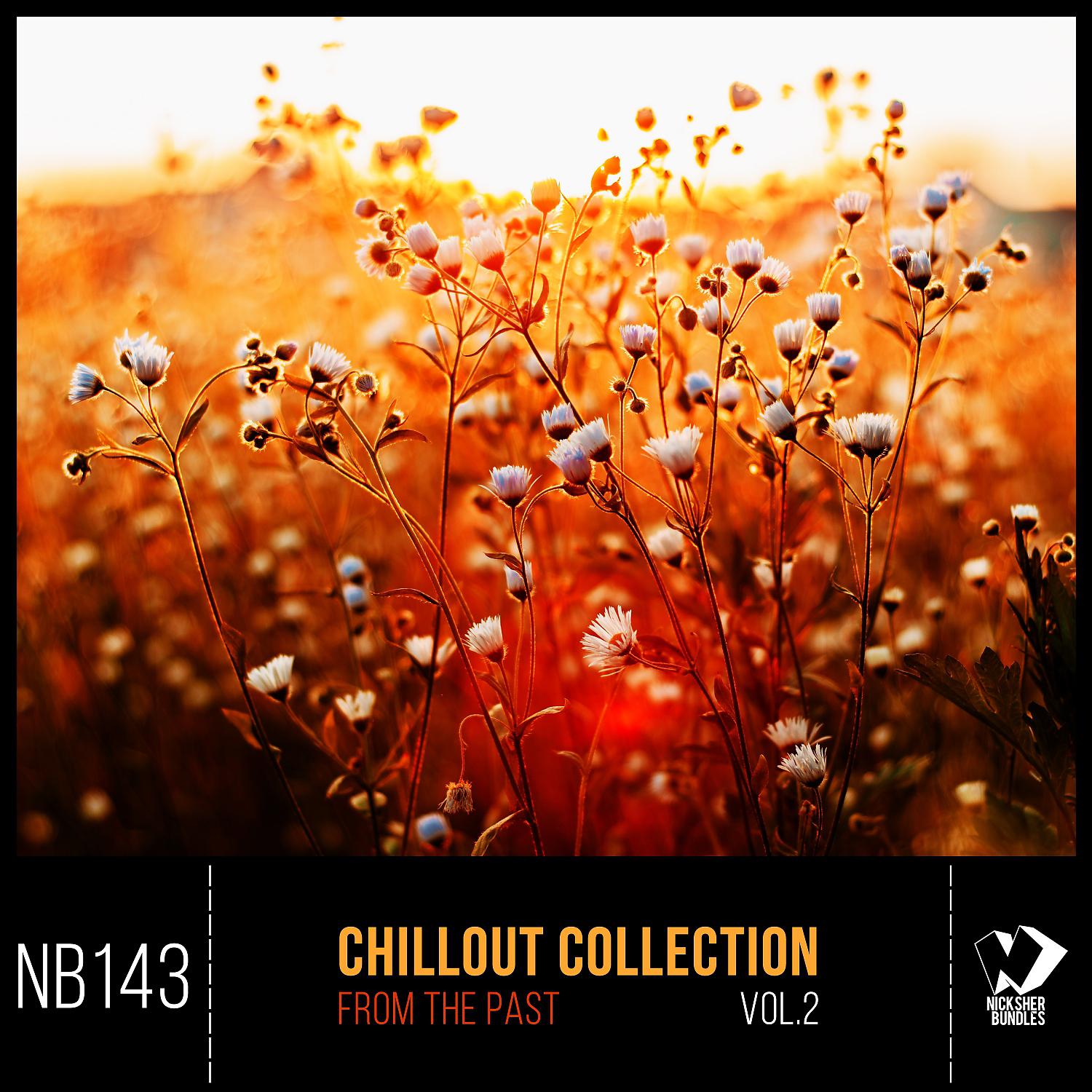 Постер альбома Chillout Collection from the Past, Vol.2