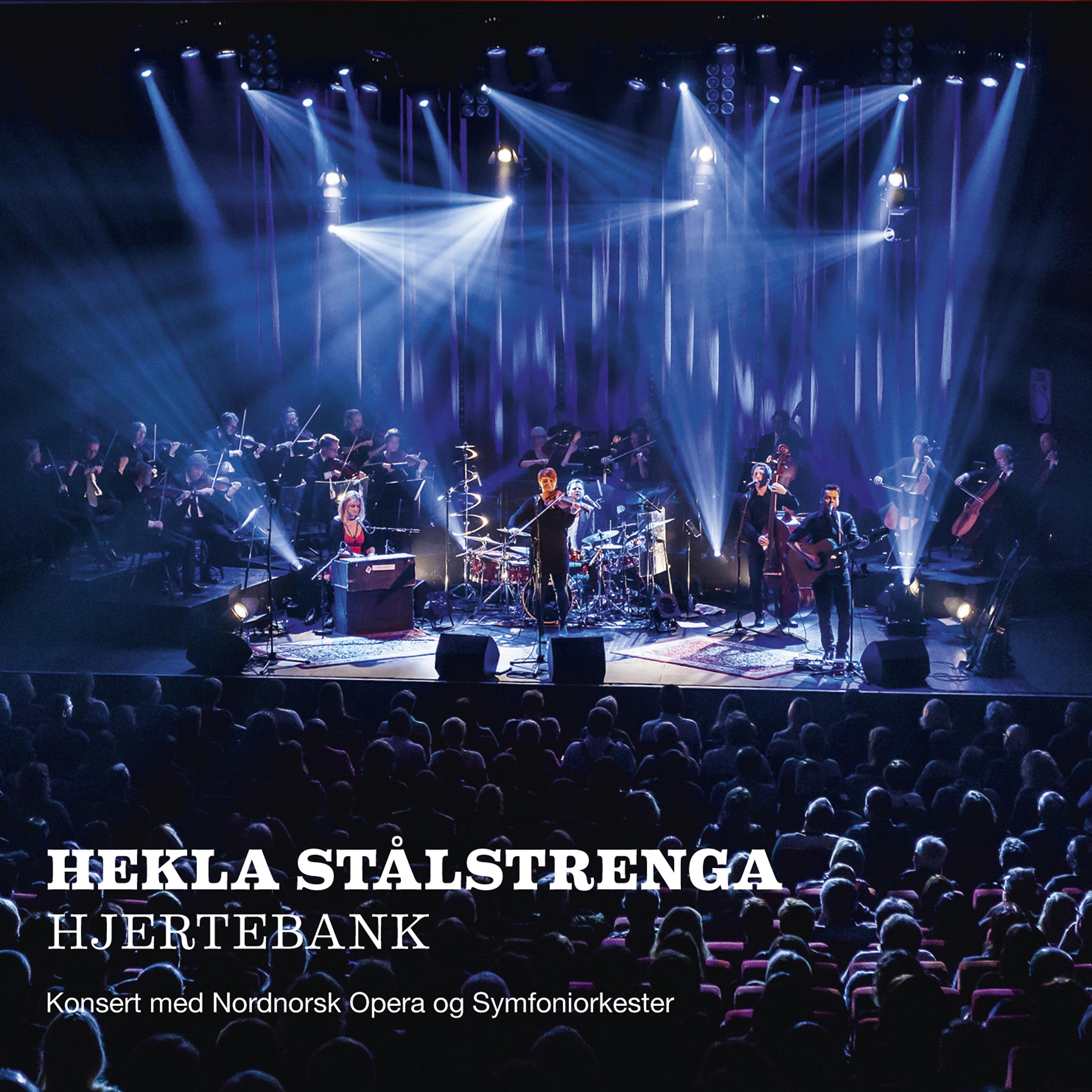 Постер альбома Hjertebank