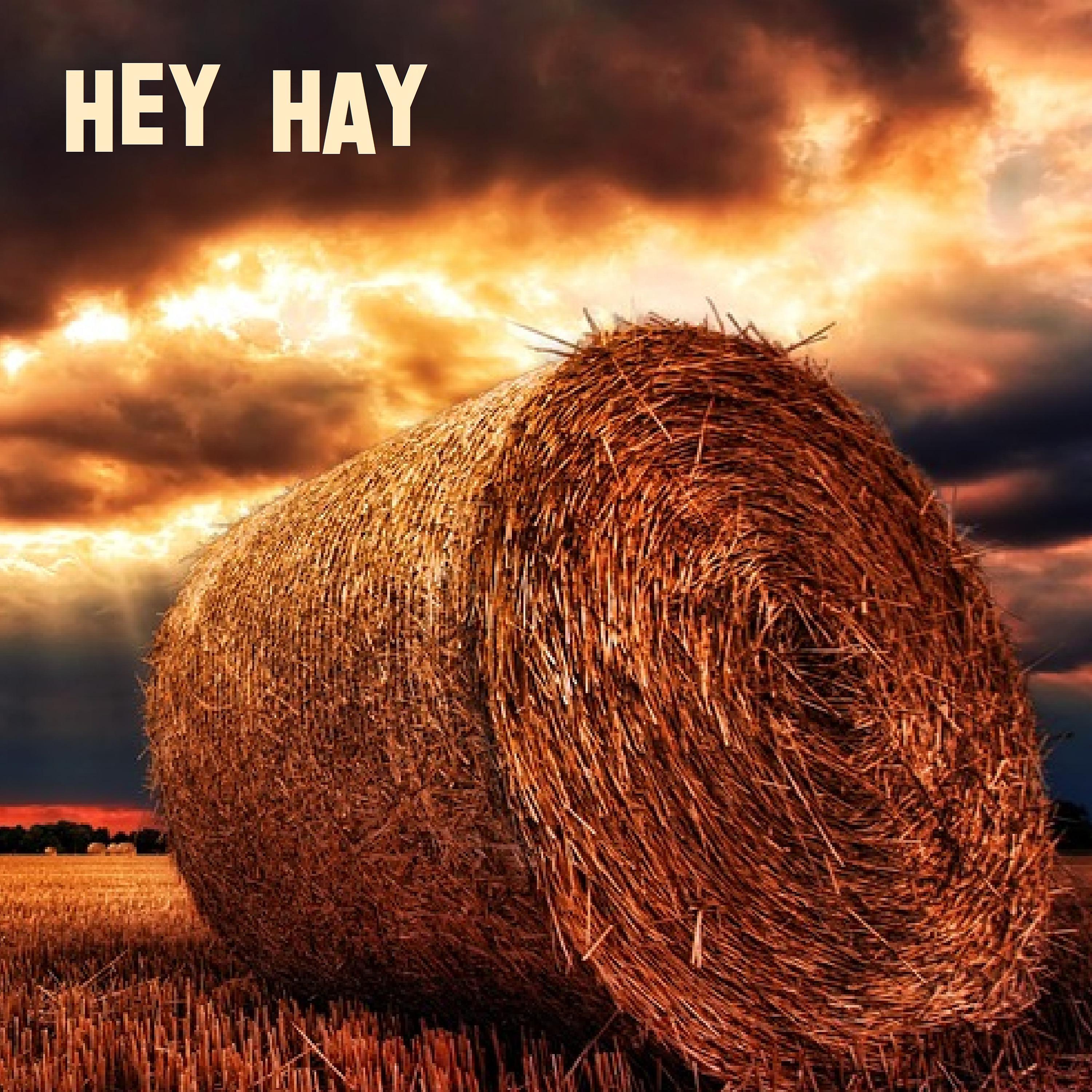 Постер альбома Hey Hay