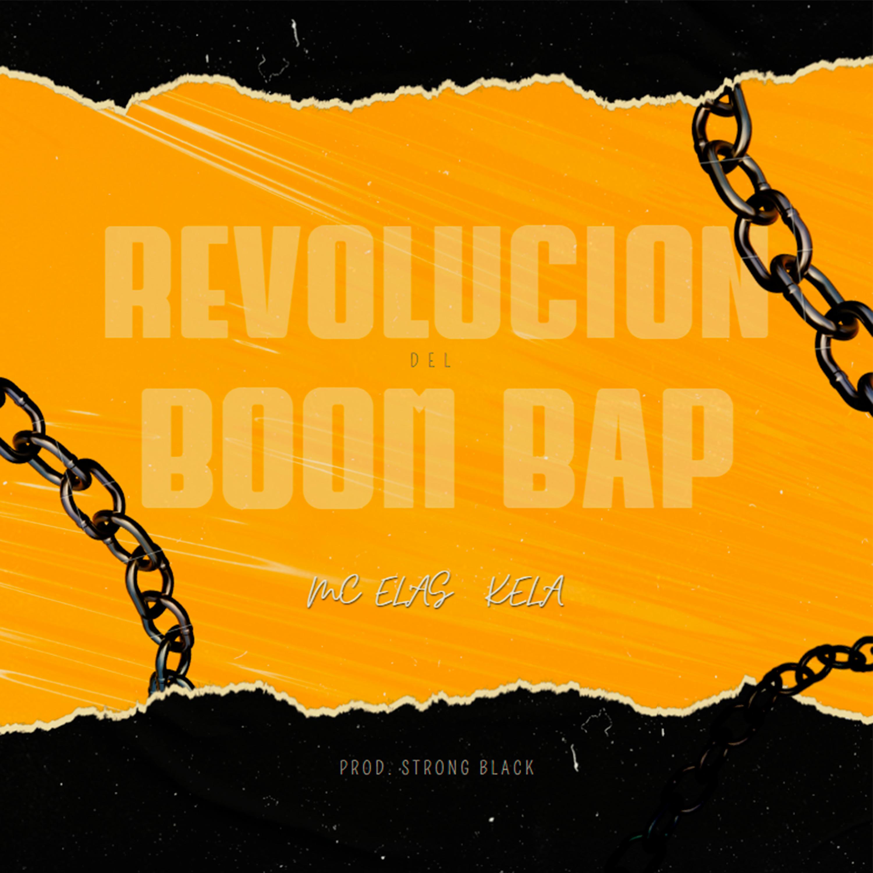 Постер альбома Revolucion del Boom Bap