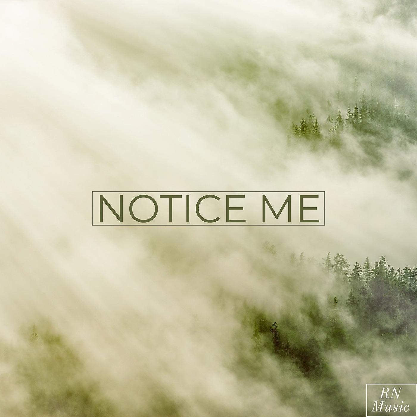 Постер альбома Notice Me