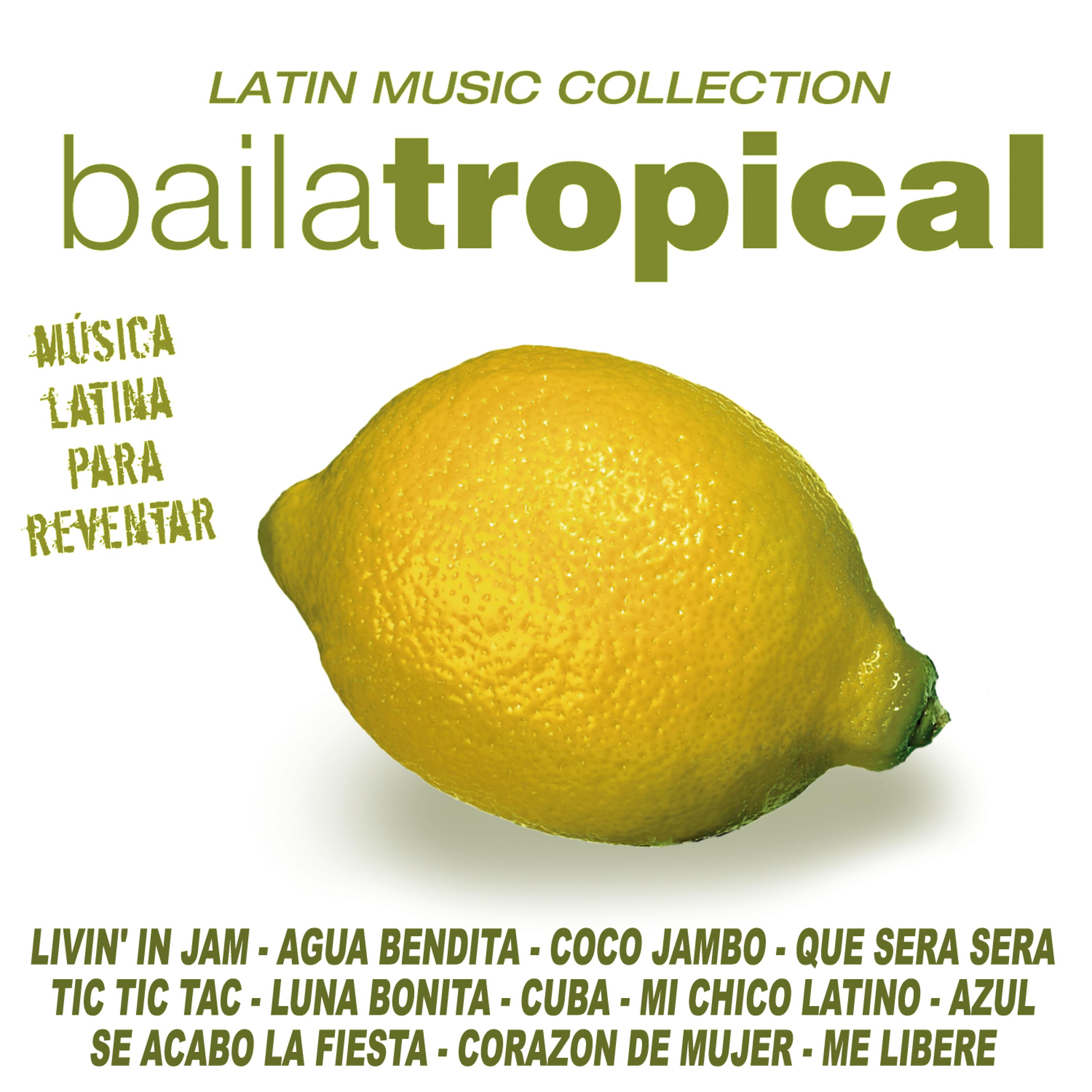 Постер альбома Baila Tropical Latino