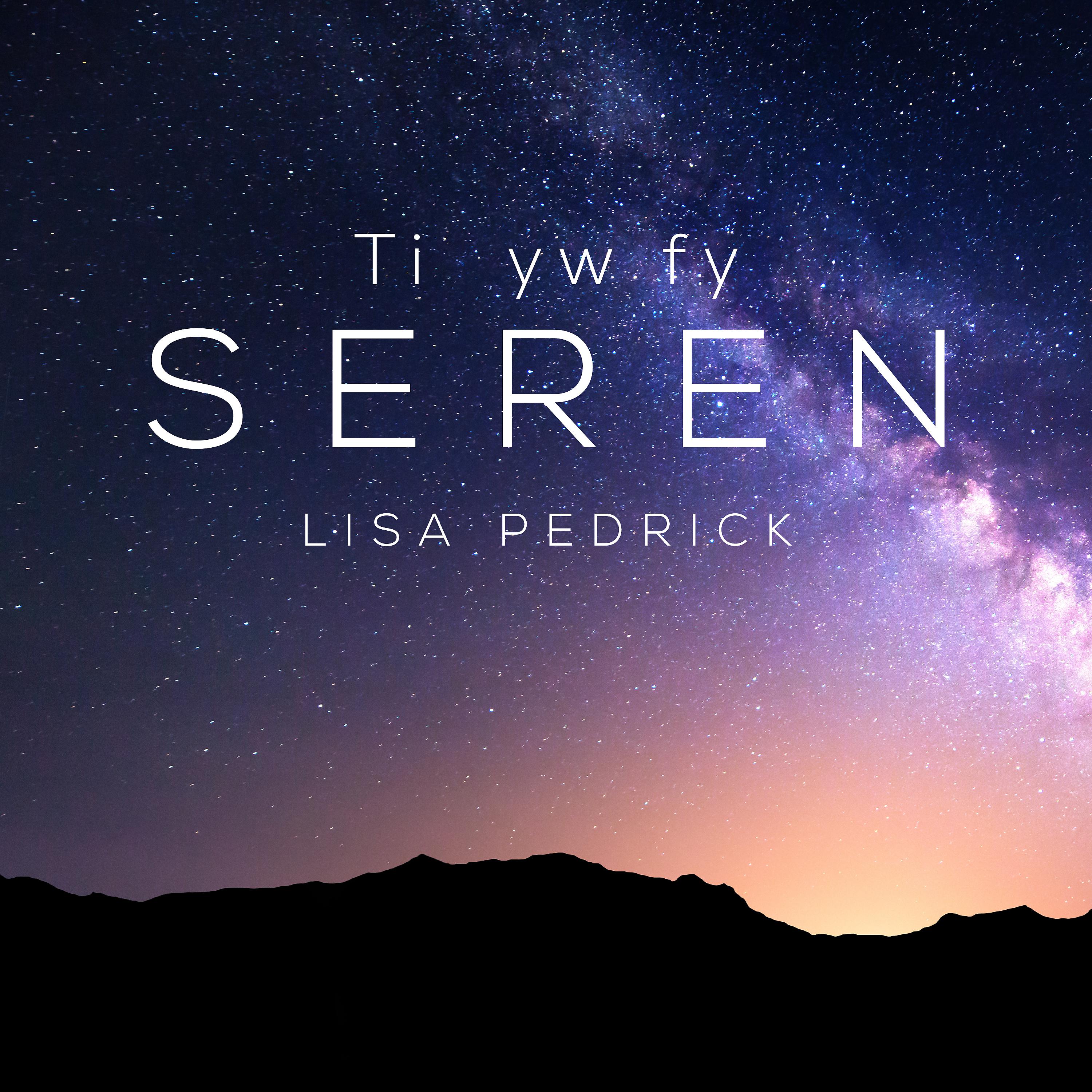 Постер альбома Ti yw fy Seren