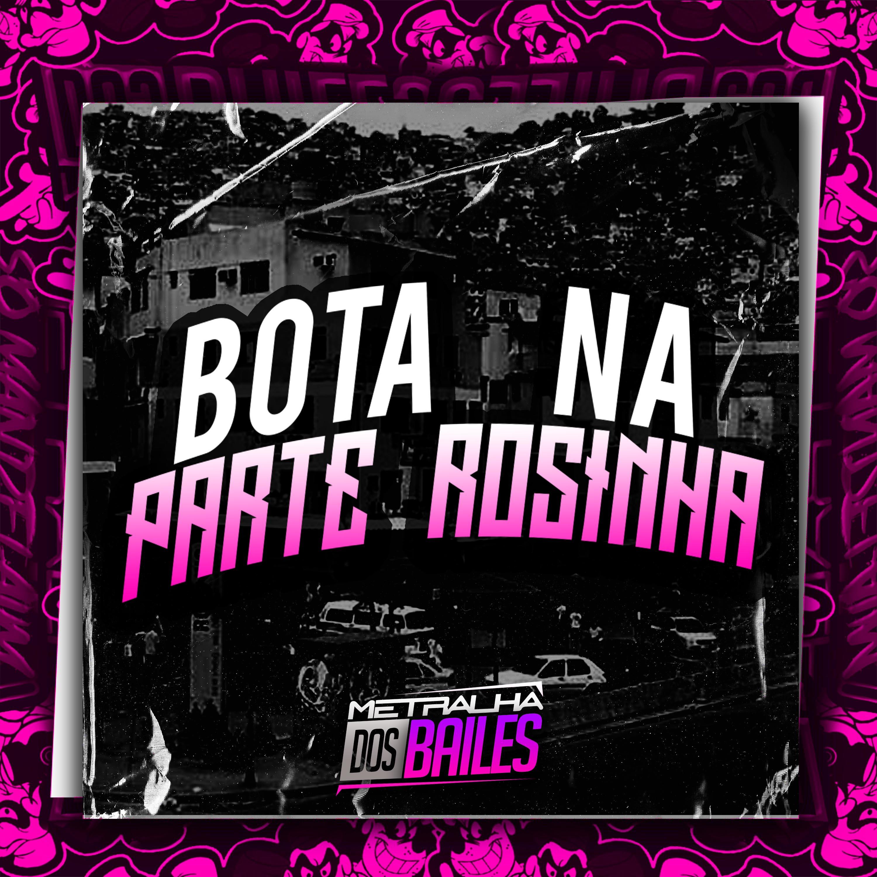 Постер альбома Bota na Parte Rosinha