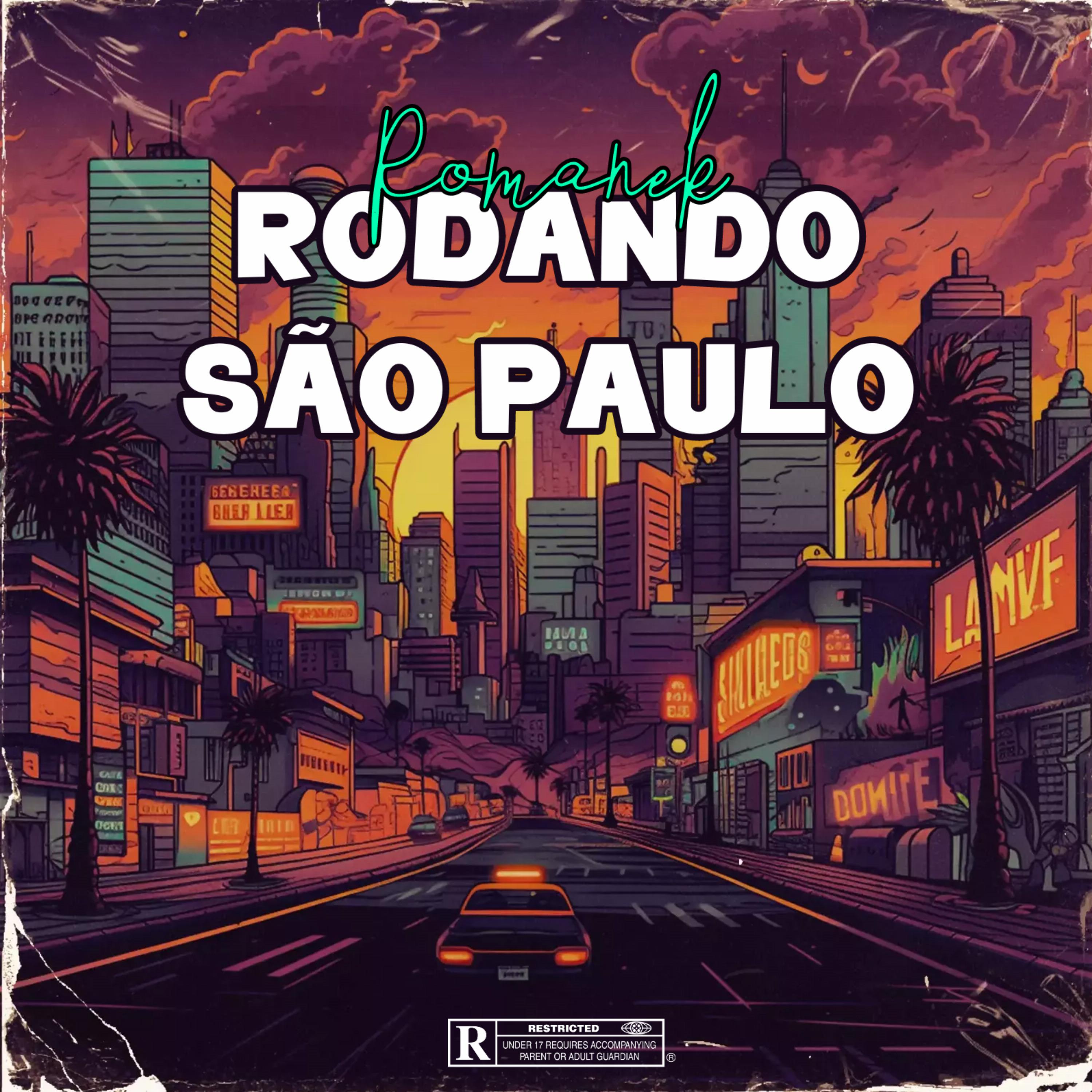 Постер альбома Rodando São Paulo
