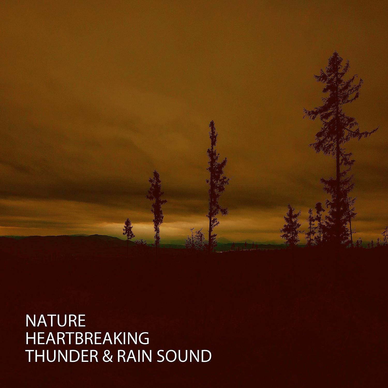 Постер альбома Nature: Heartbreaking Thunder & Rain Sound