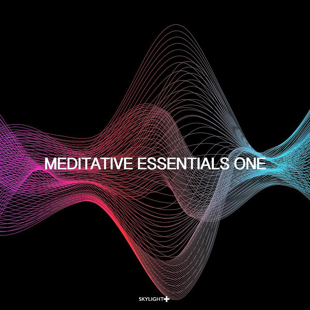 Постер альбома Meditative Essentials One