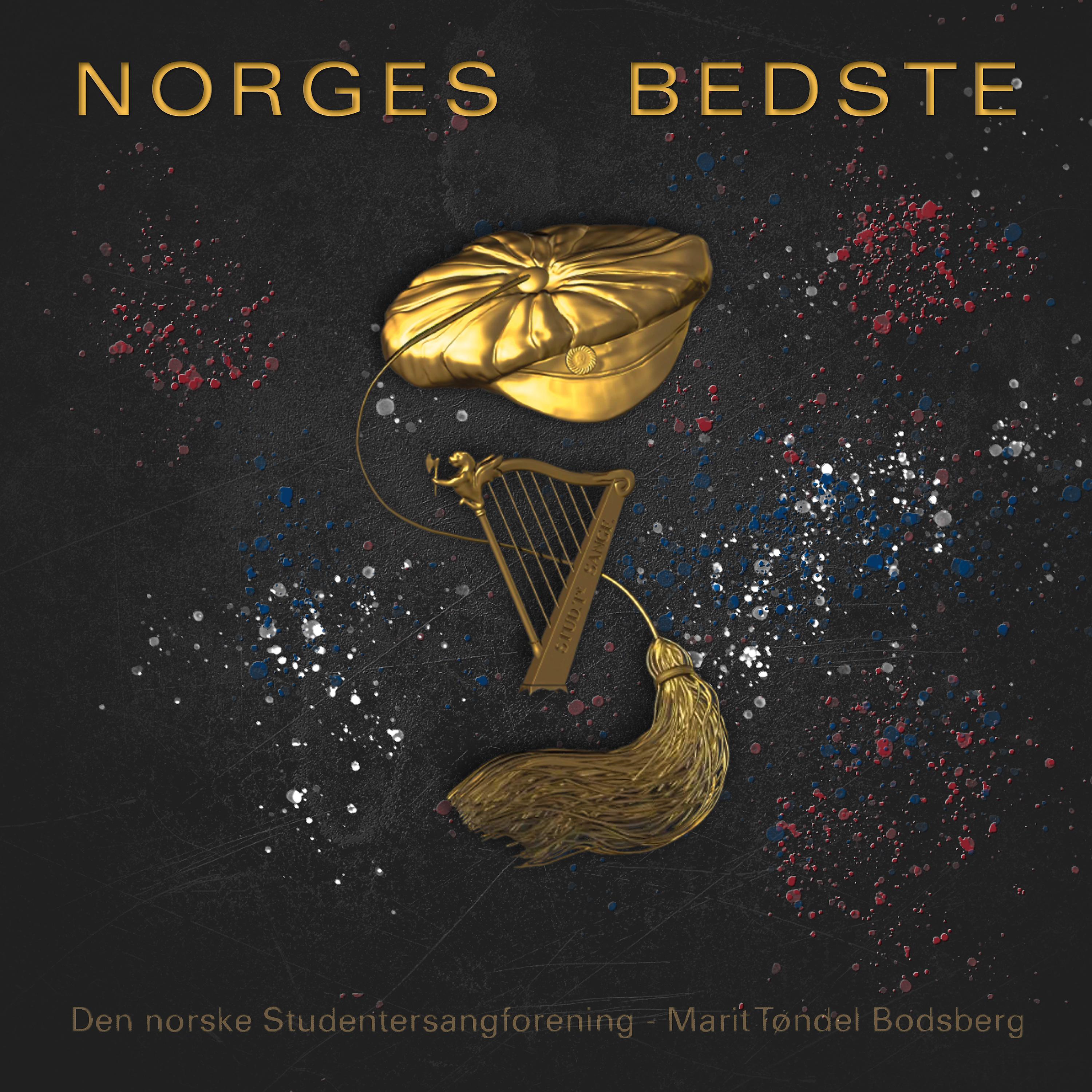 Постер альбома Norges Bedste