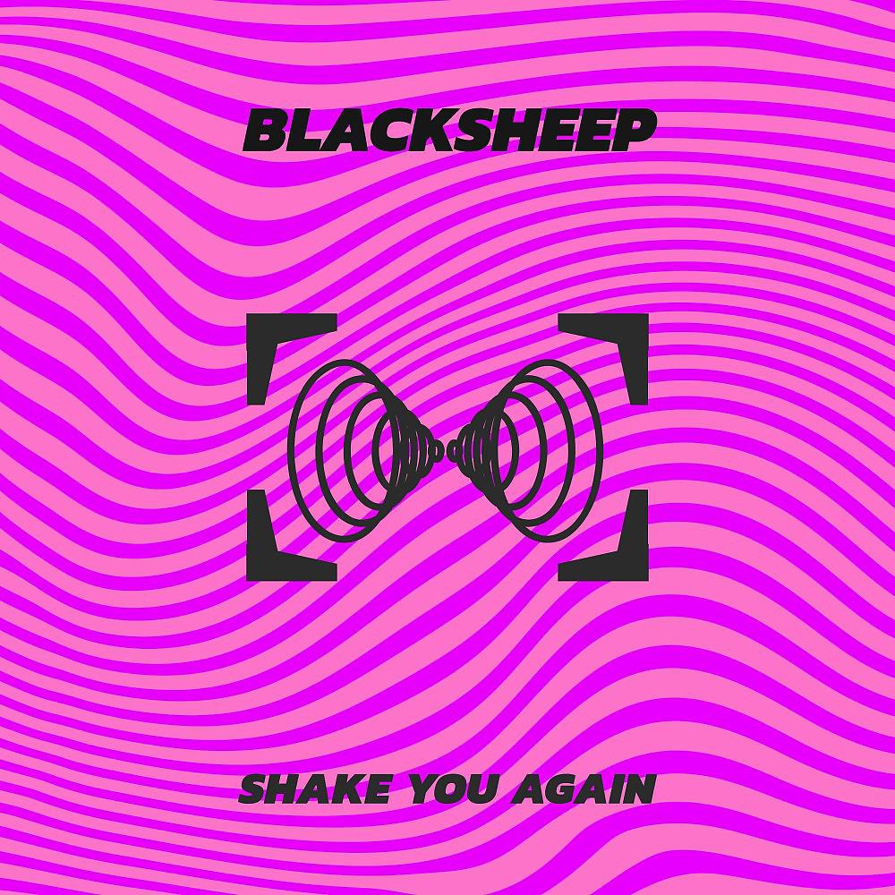 Постер альбома Shake You Again