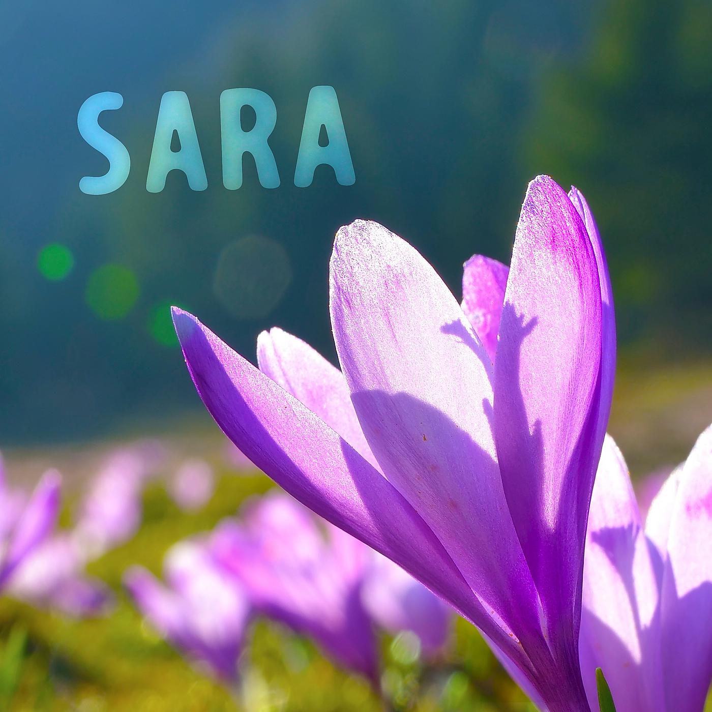 Постер альбома Sara