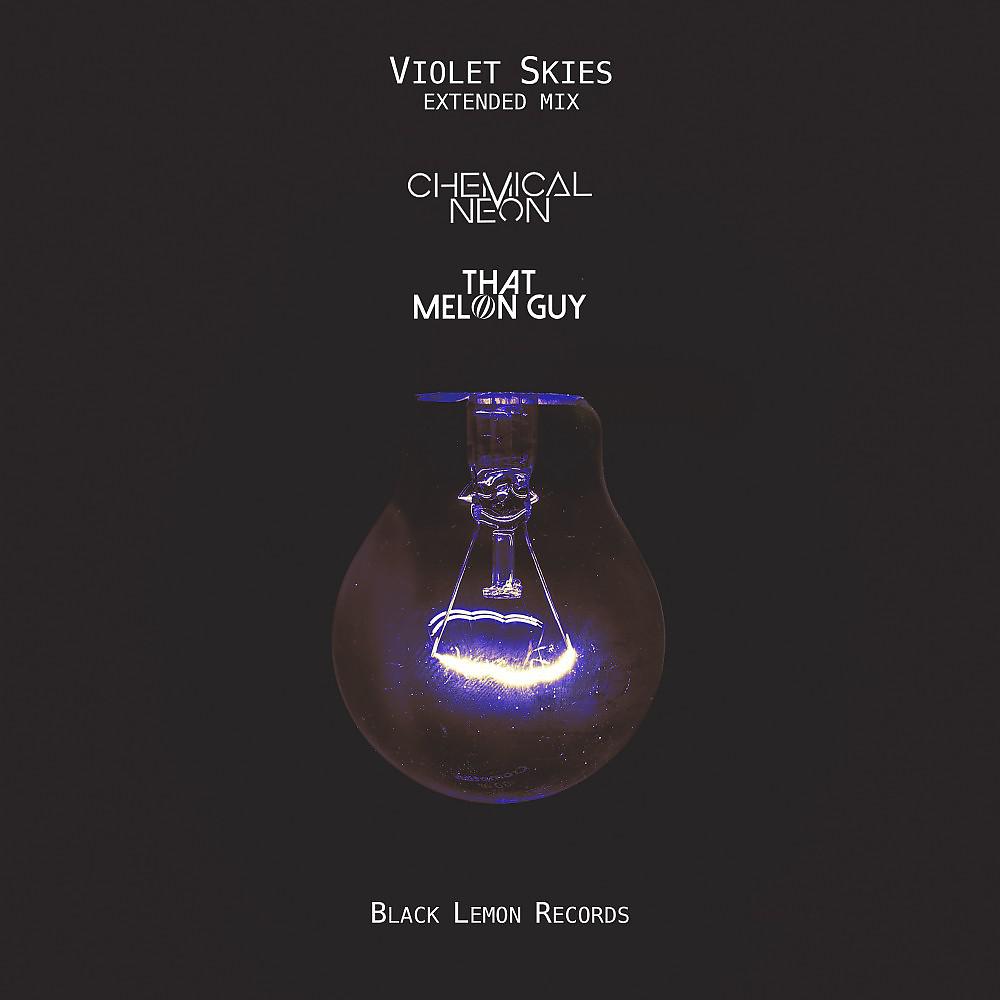 Постер альбома Violet Skies (Extended Mix)