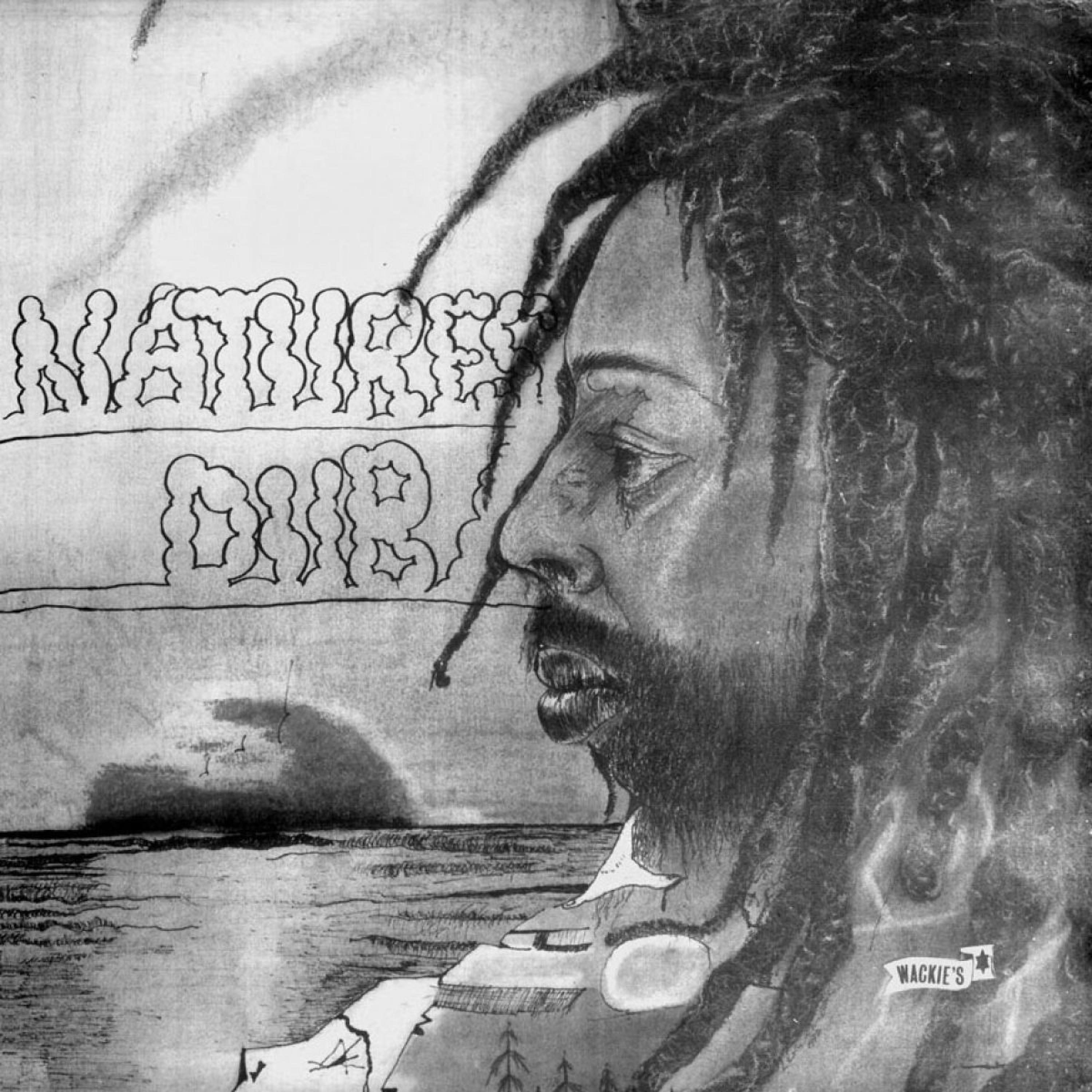 Постер альбома Natures Dub