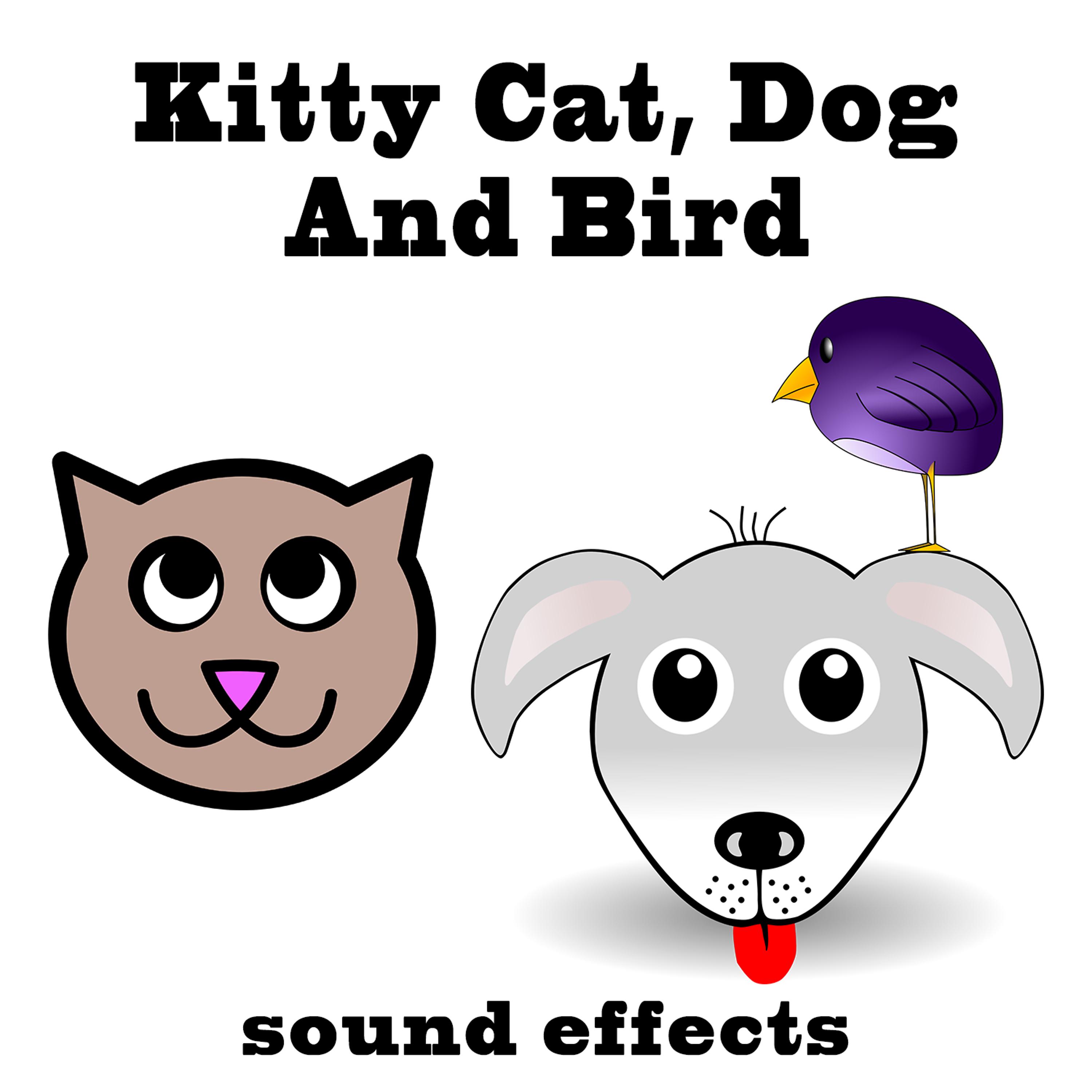 Постер альбома Kitty Cat, Dog and Bird Sound Effects Text Tones