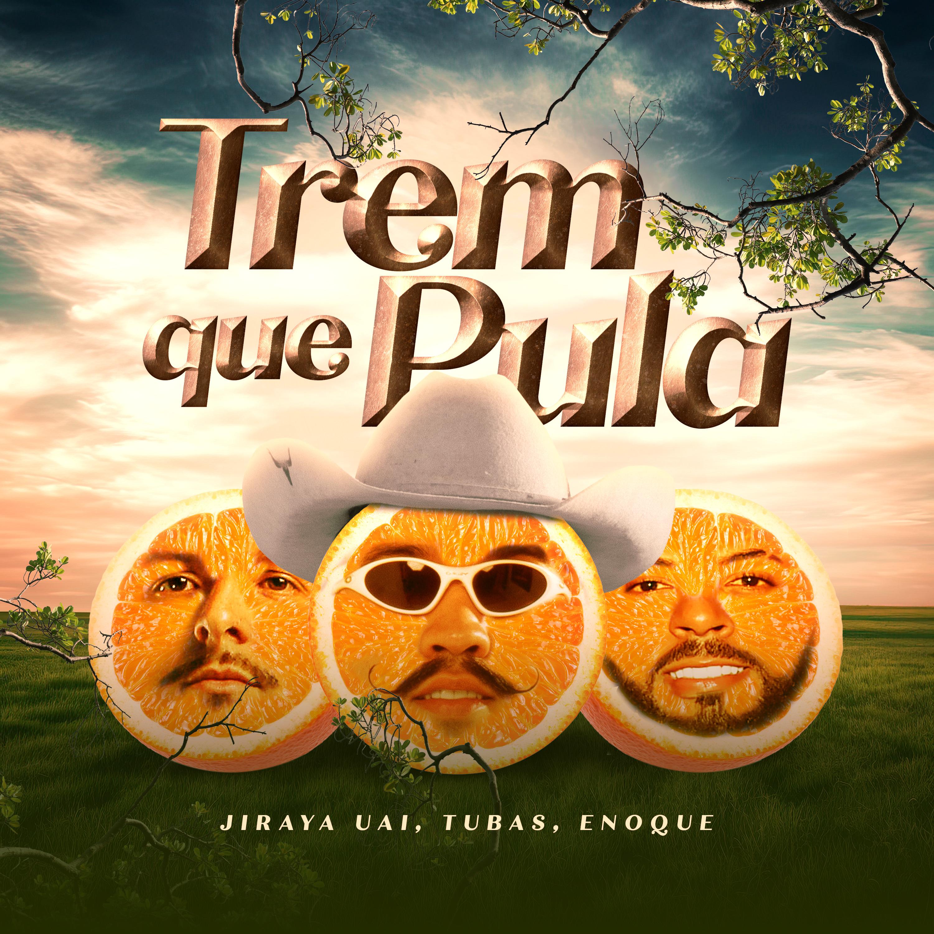 Постер альбома Trem Que Pula