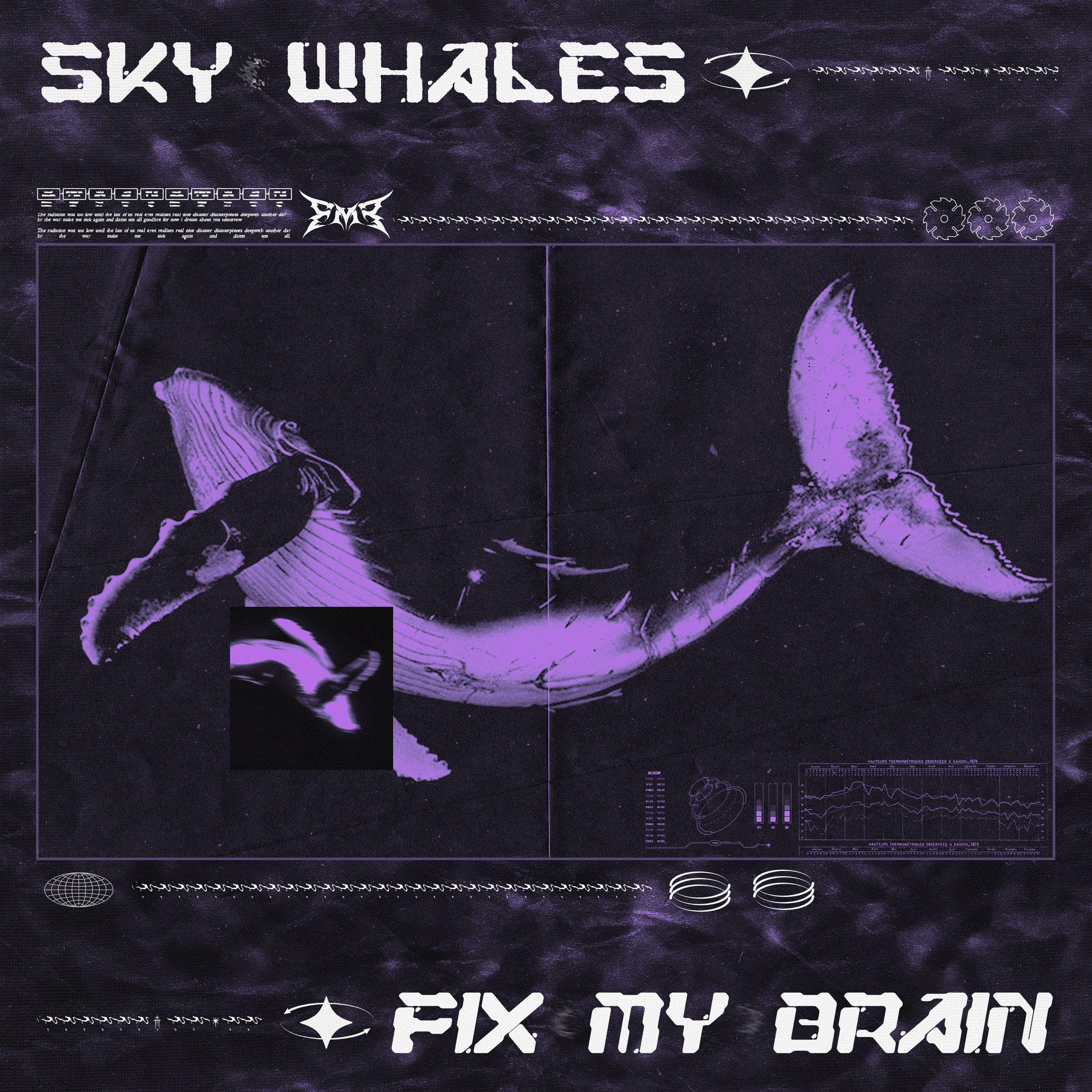 Постер альбома Sky Whales