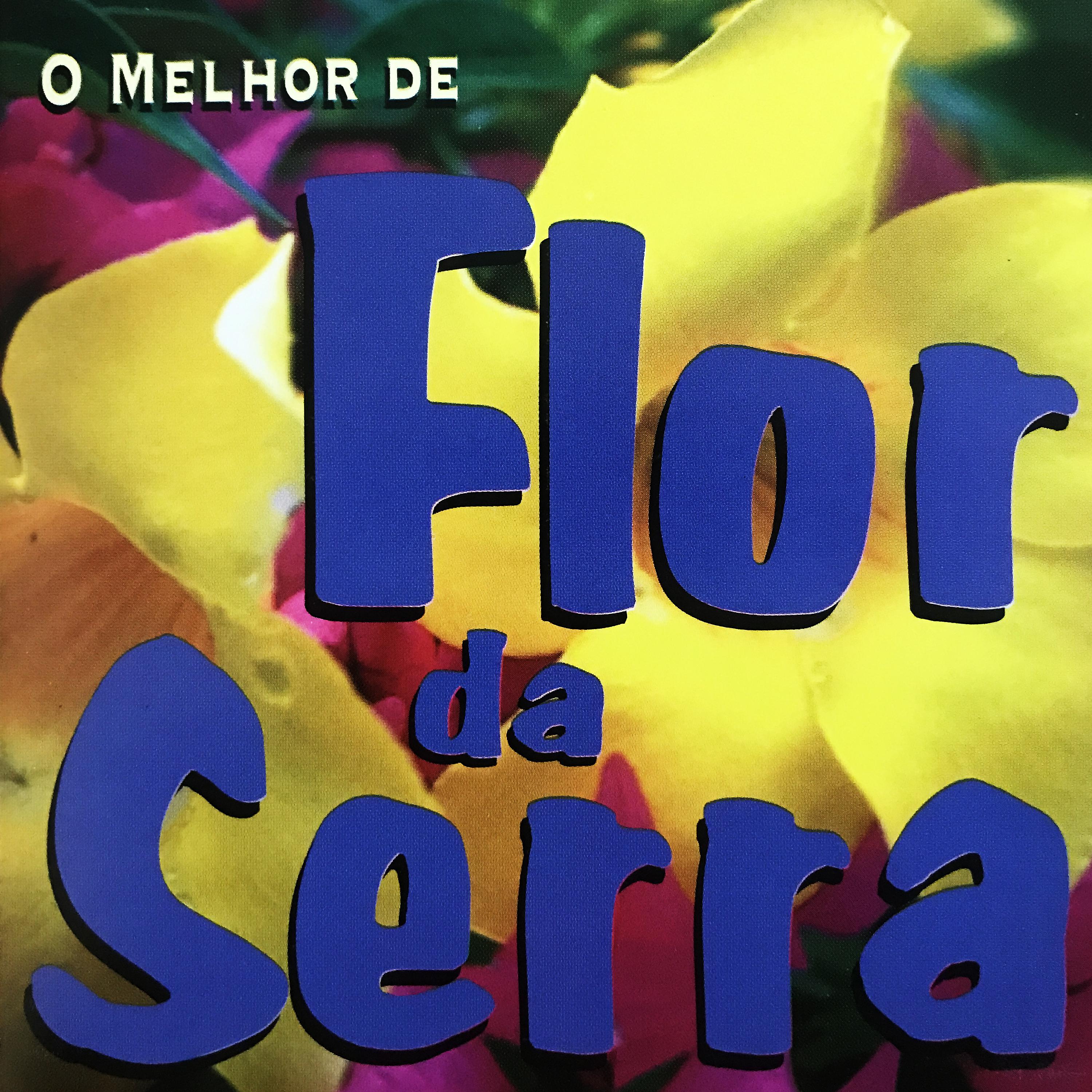 Постер альбома O Melhor de Flor da Serra