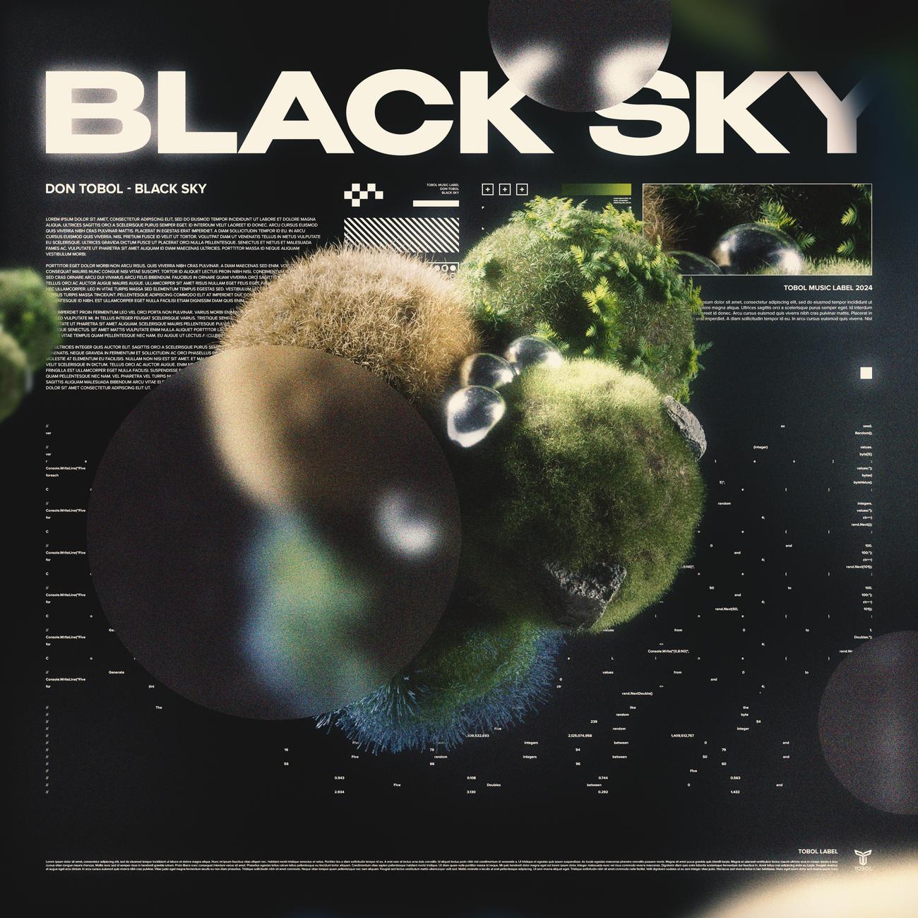Постер альбома Black Sky